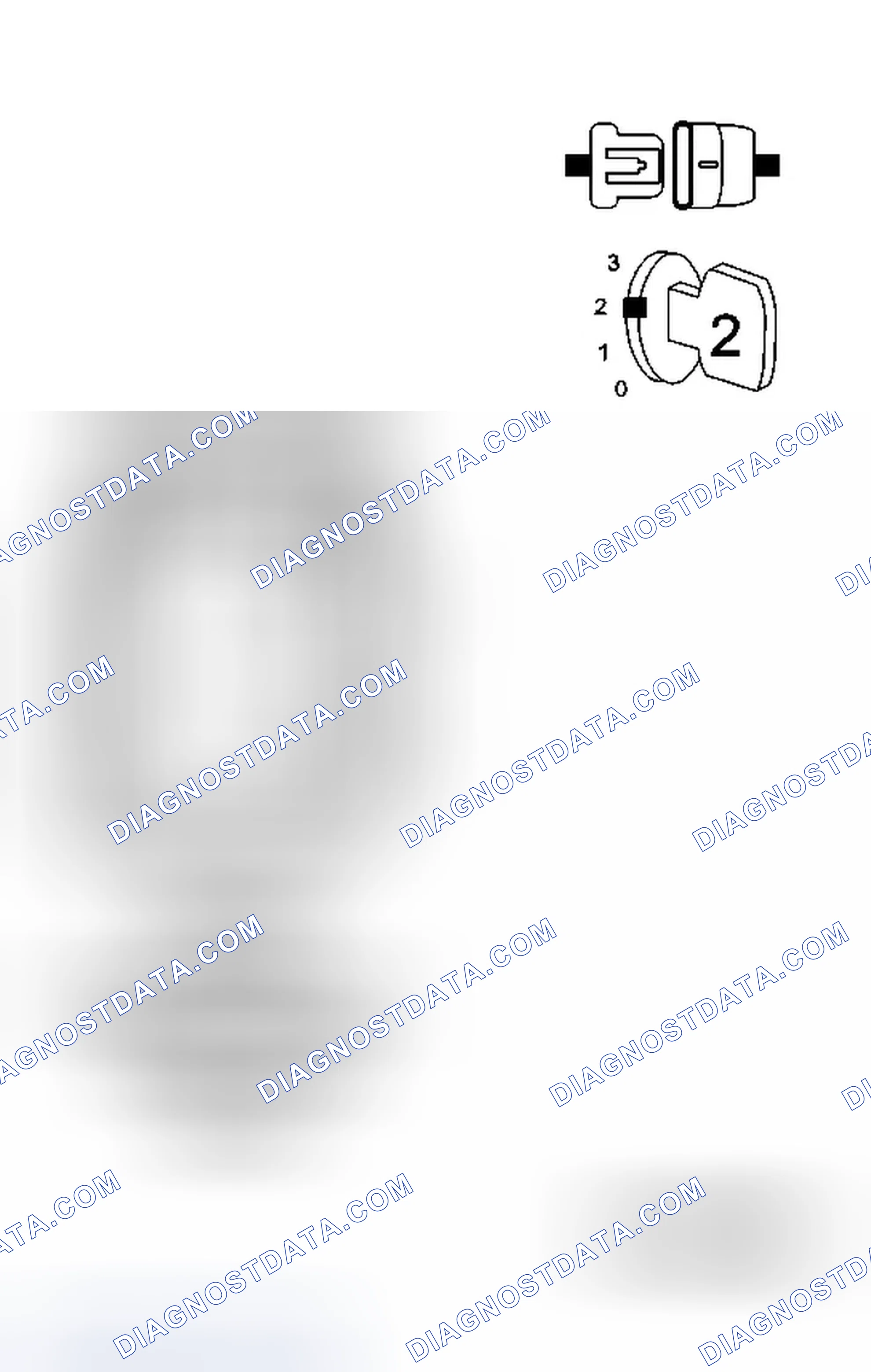 Scheme 33: Diagnostic Test