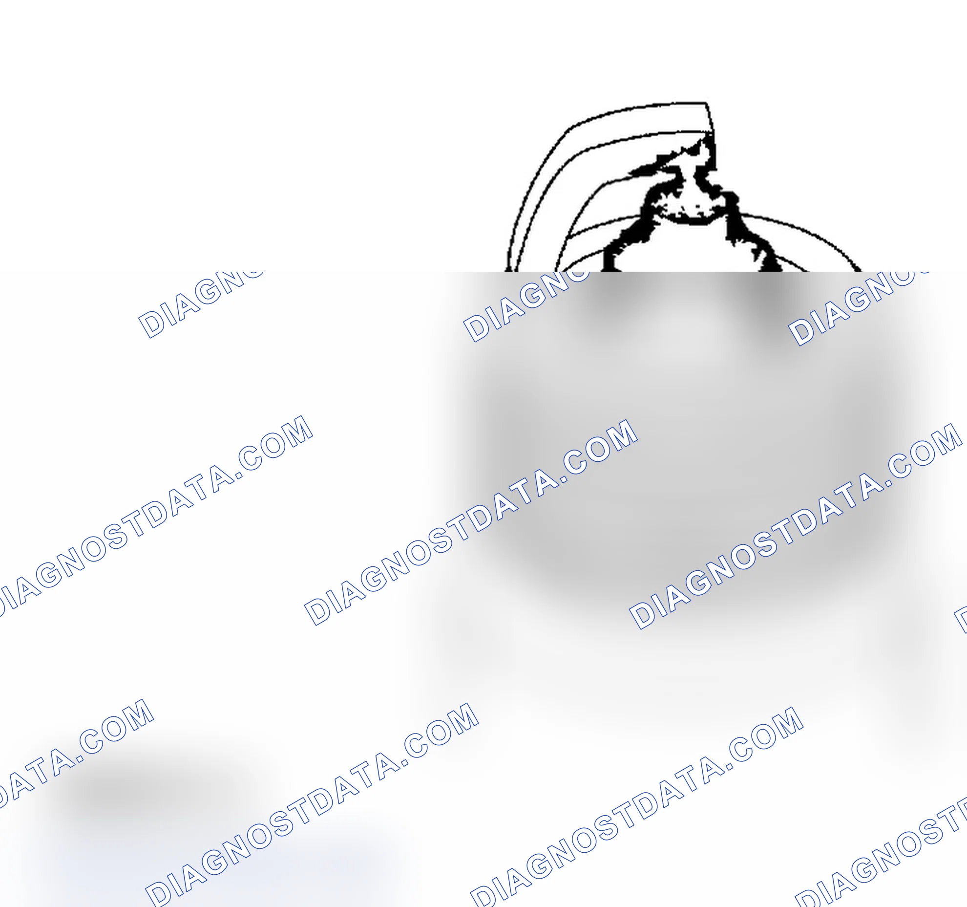 Scheme 303: Spark Plug Inspection