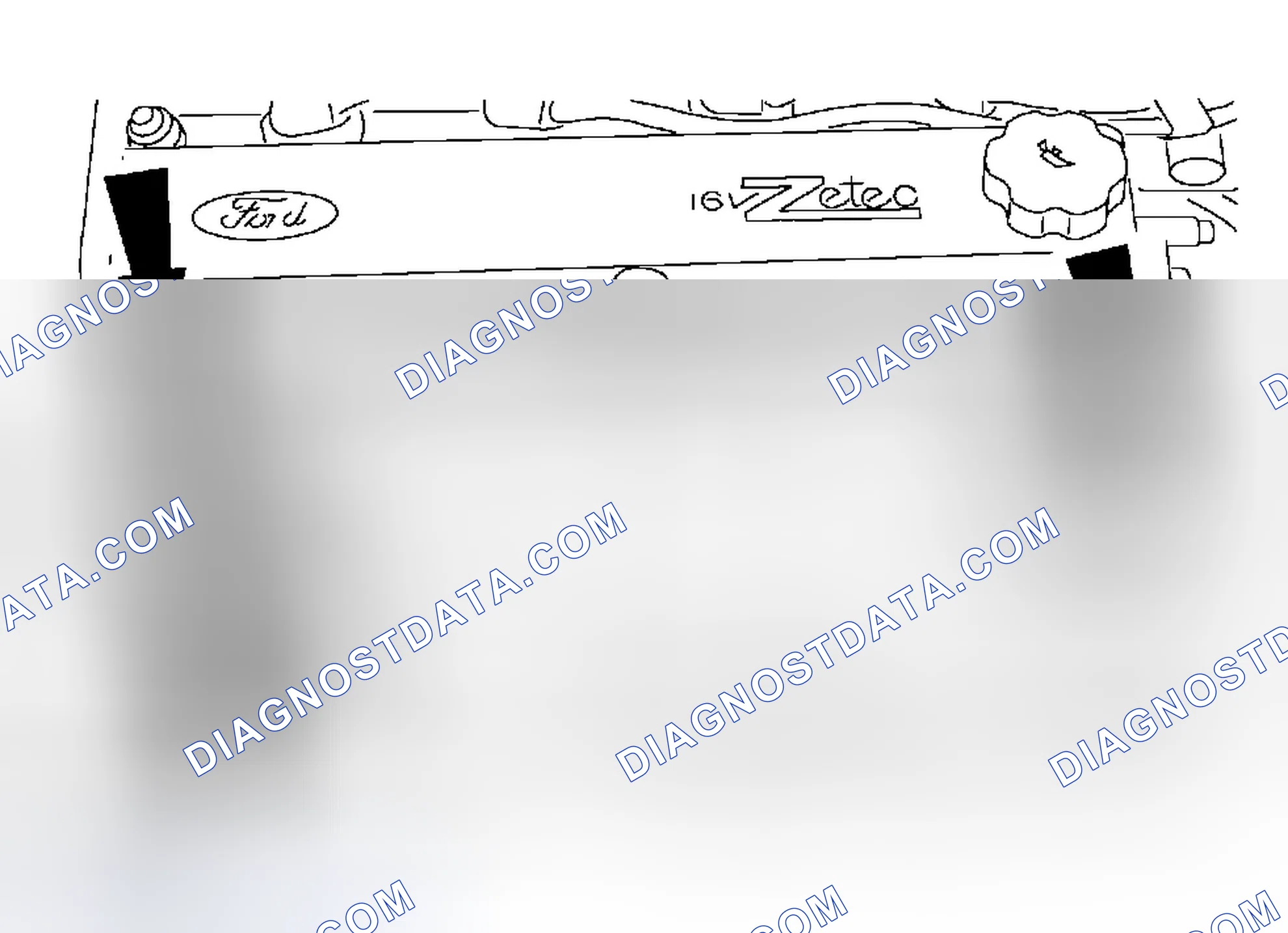 Scheme 339