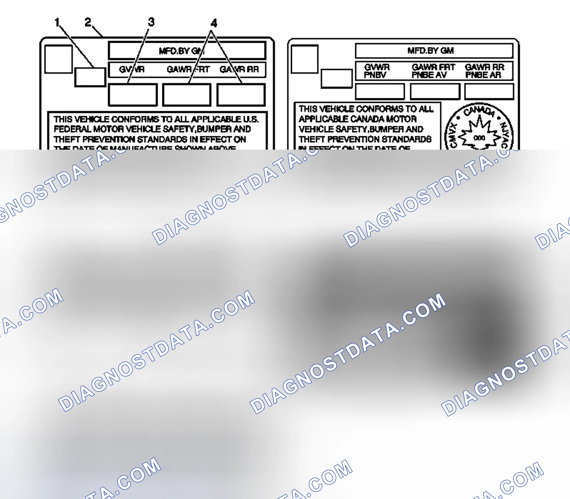 Scheme 4: Vehicle Certification, Tire Placard, Anti-Theft, and Service Parts ID Label