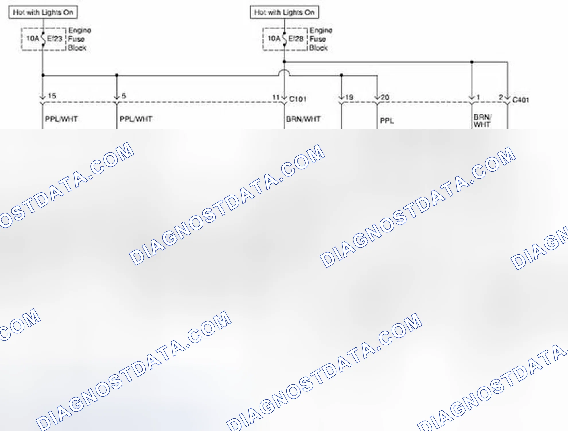 Scheme 8: Park, Tail and License Lamps Circuit Diagram (For NOTCHBACK Model)