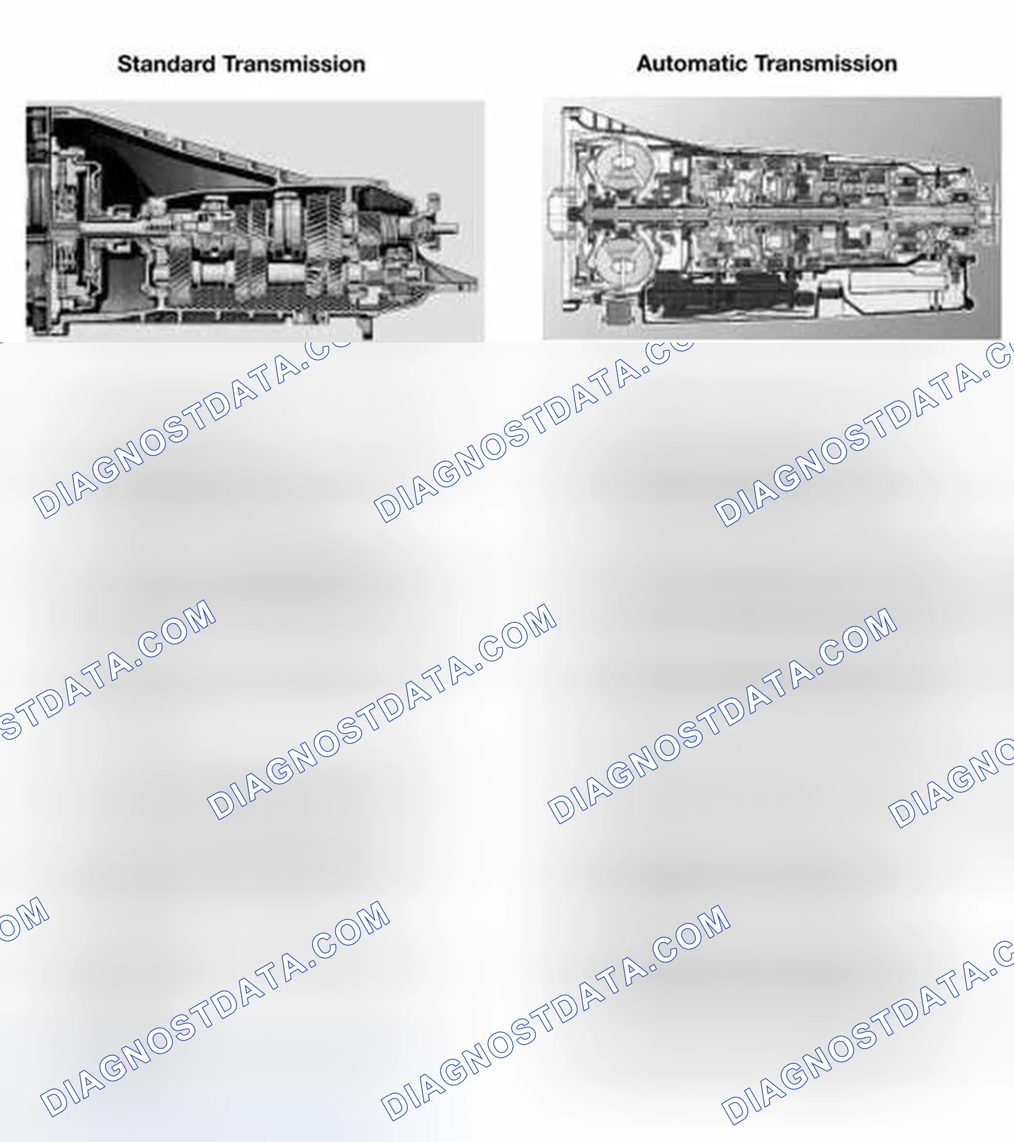 Scheme 6: STANDARD/AUTOMATIC TRANSMISSION