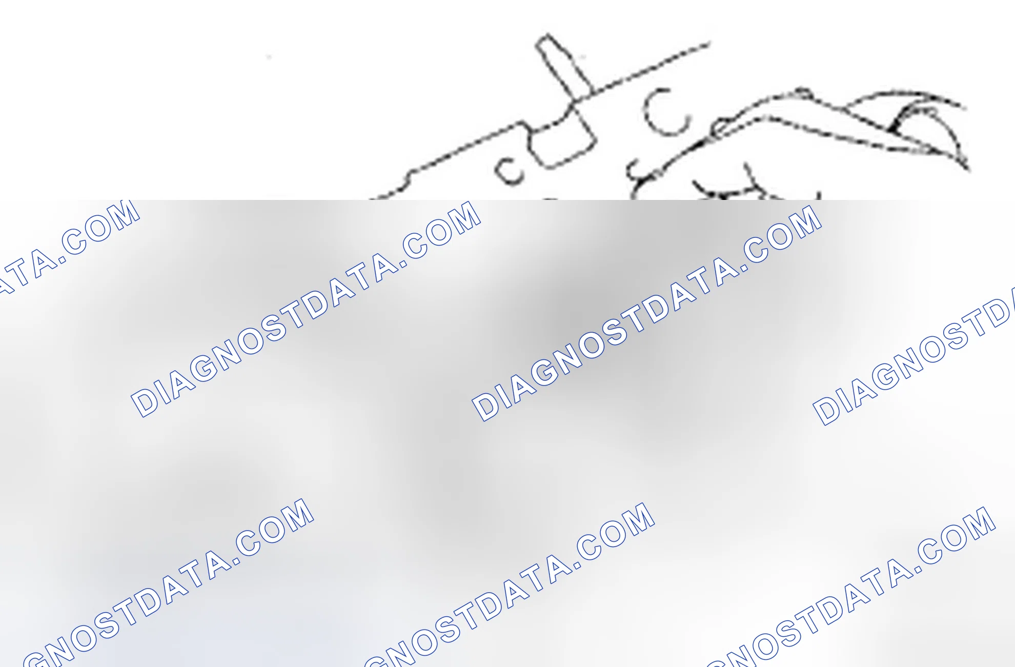 Scheme 518