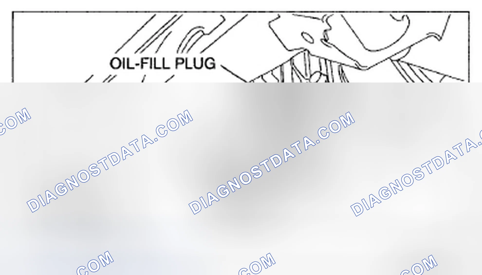 Scheme 2: DIFFERENTIAL OIL INSPECTION