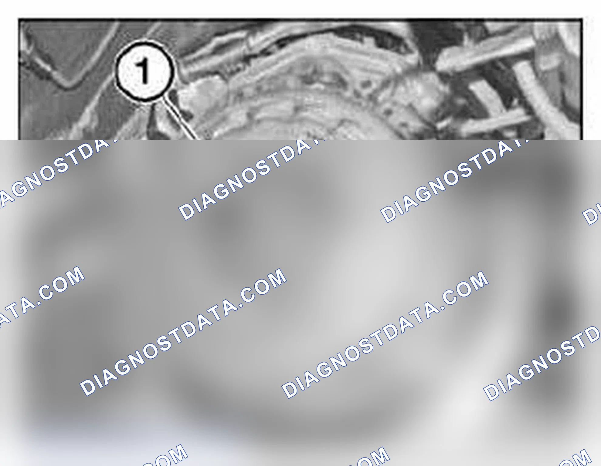 Scheme 81