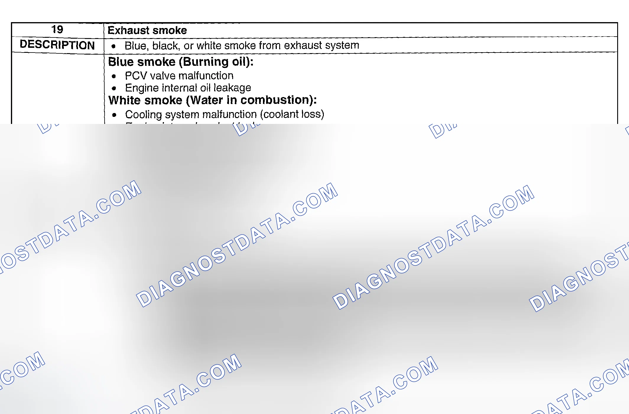 Scheme 301: NO. 19 EXHAUST SMOKE