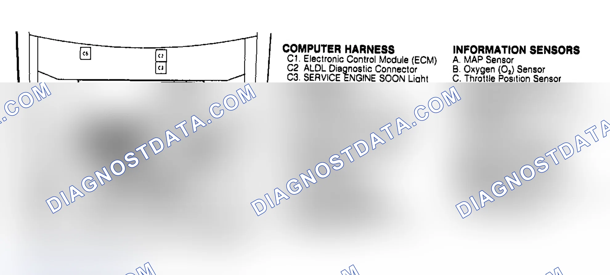 Scheme 229