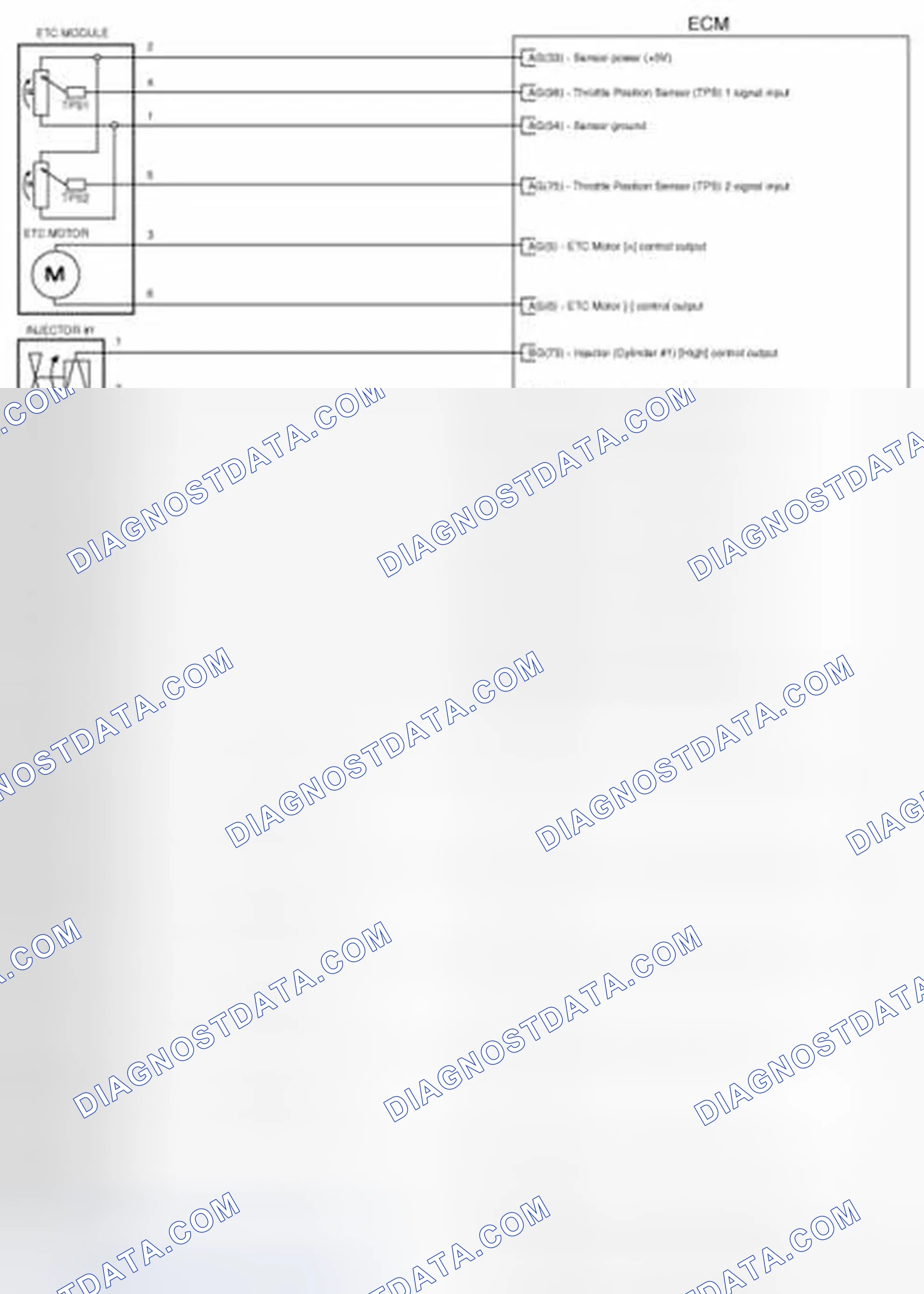 Scheme 293