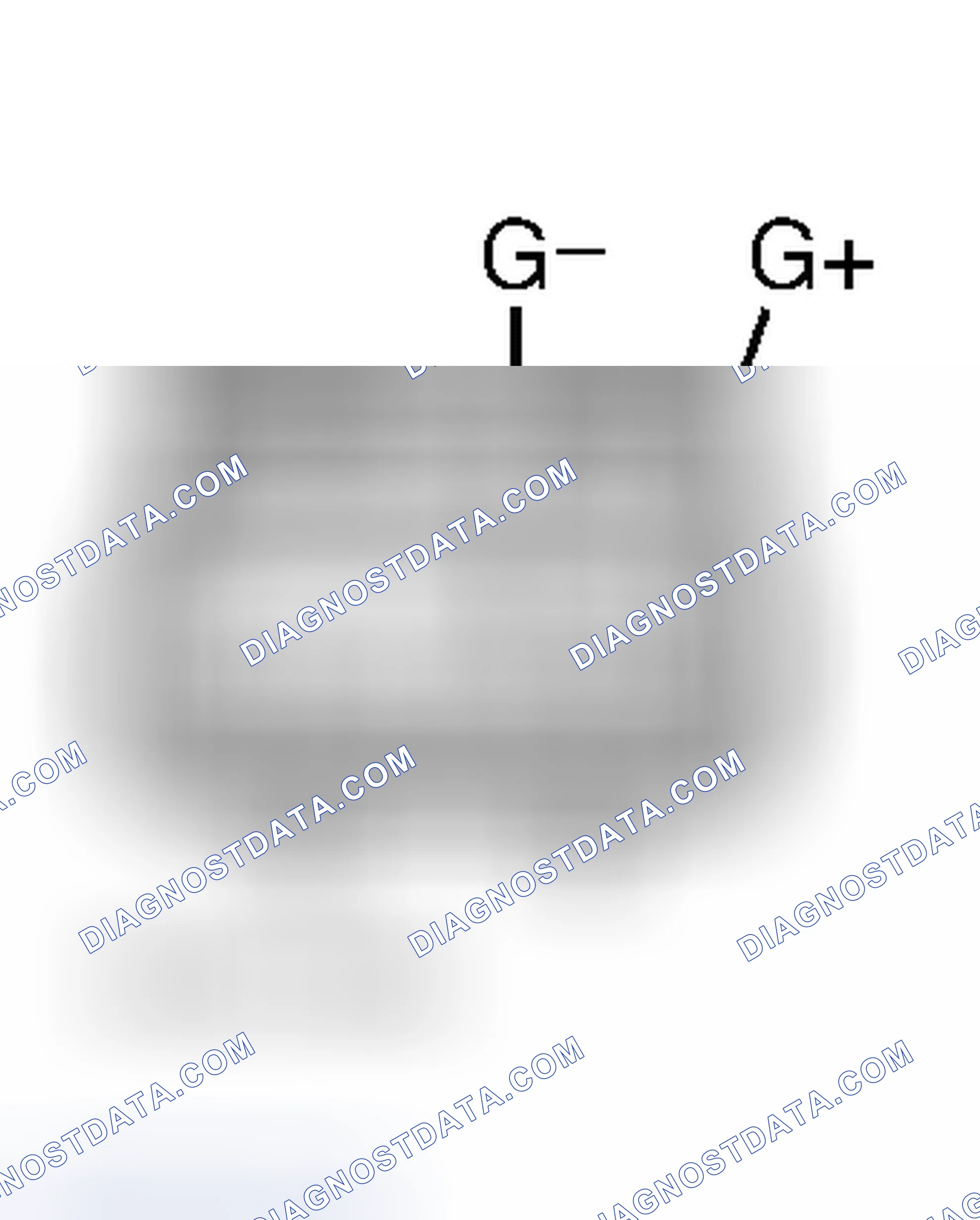 Scheme 7