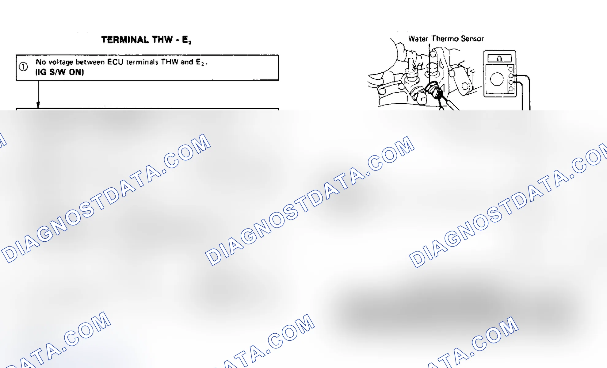 Scheme 69: Terminal THW - E2