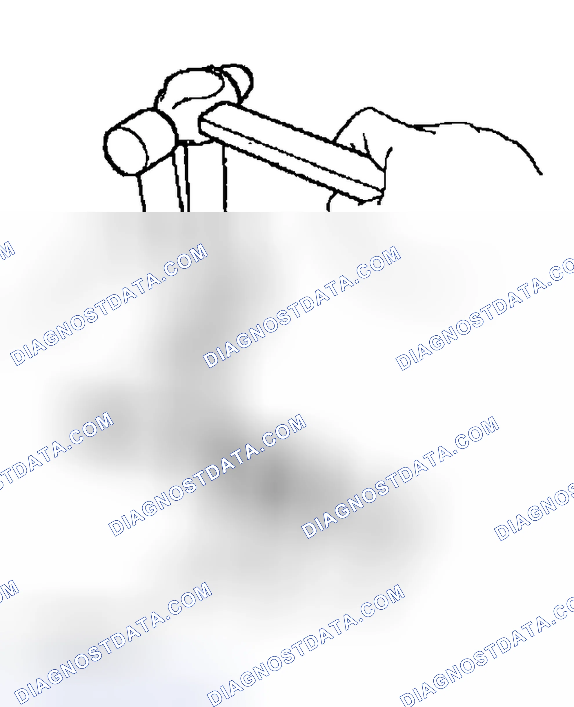 Scheme 16