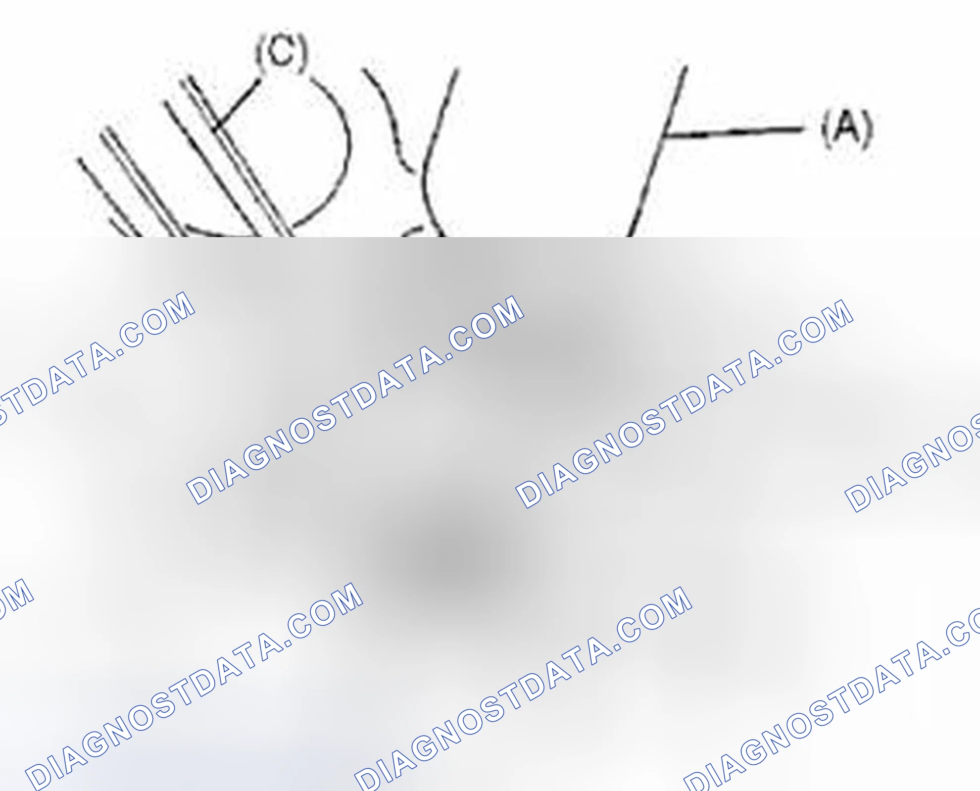 Scheme 124
