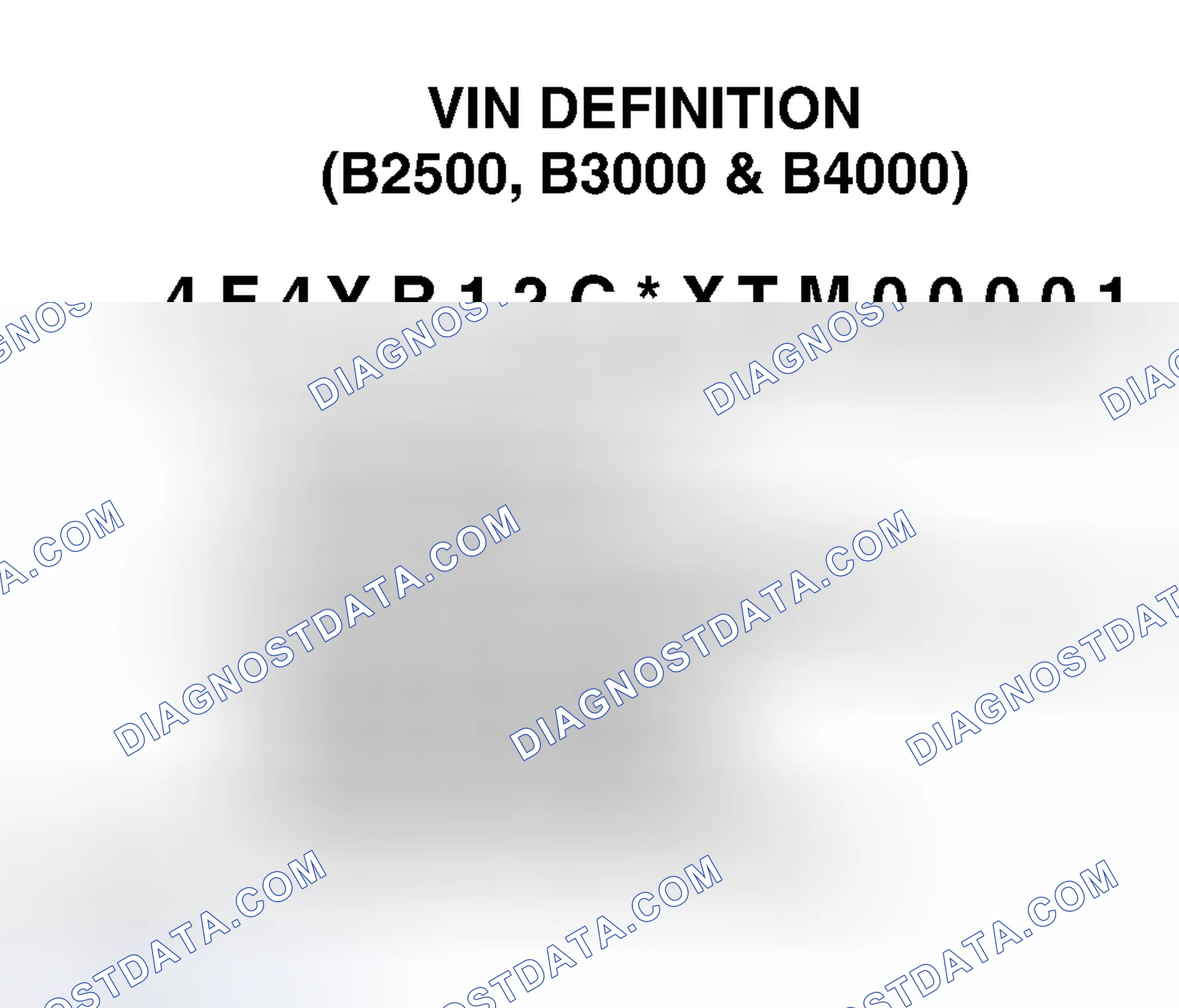 Scheme 2: VIN Definition (B2500, B3000 & B4000)