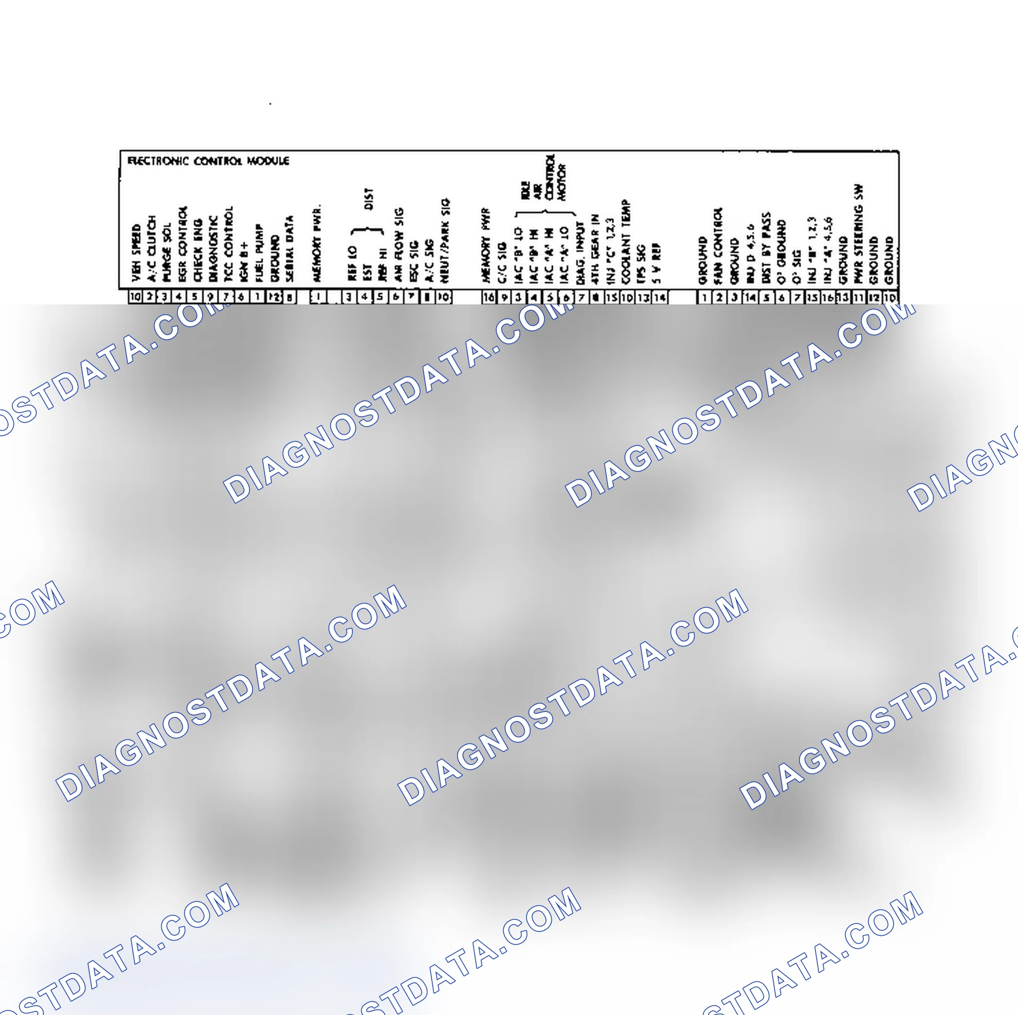 Scheme 51: Wiring Diagram for 3.8L (Exc. Turbo) Port Fuel Injection System