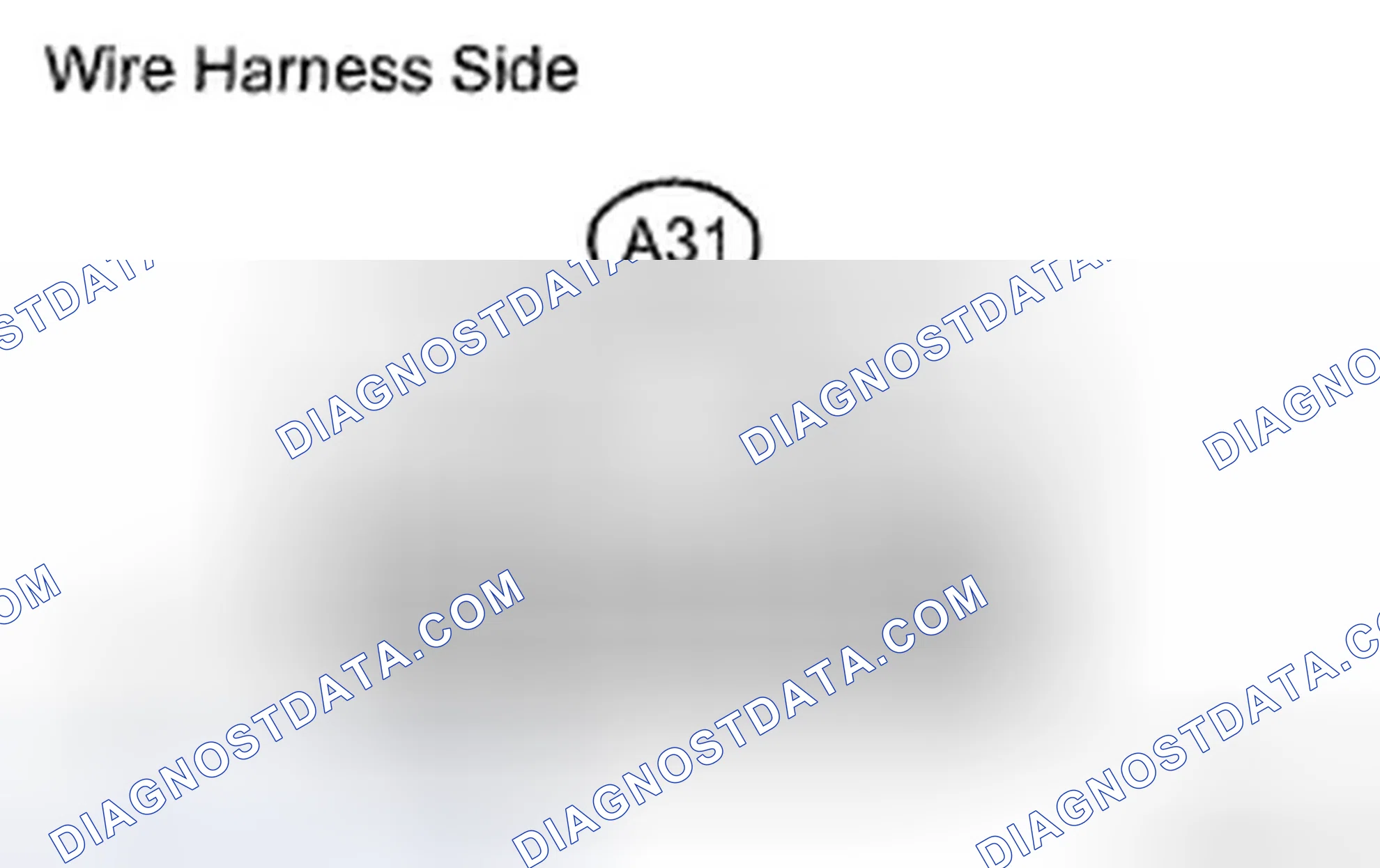 Scheme 134: INSPECTION PROCEDURE