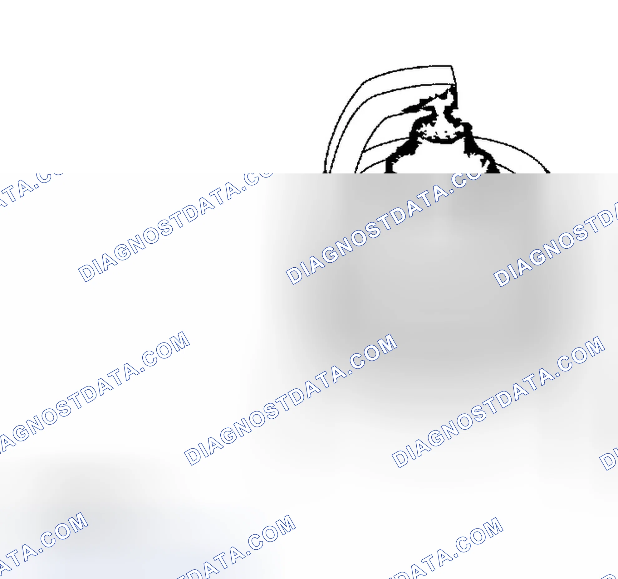 Scheme 59: Spark Plug Inspection