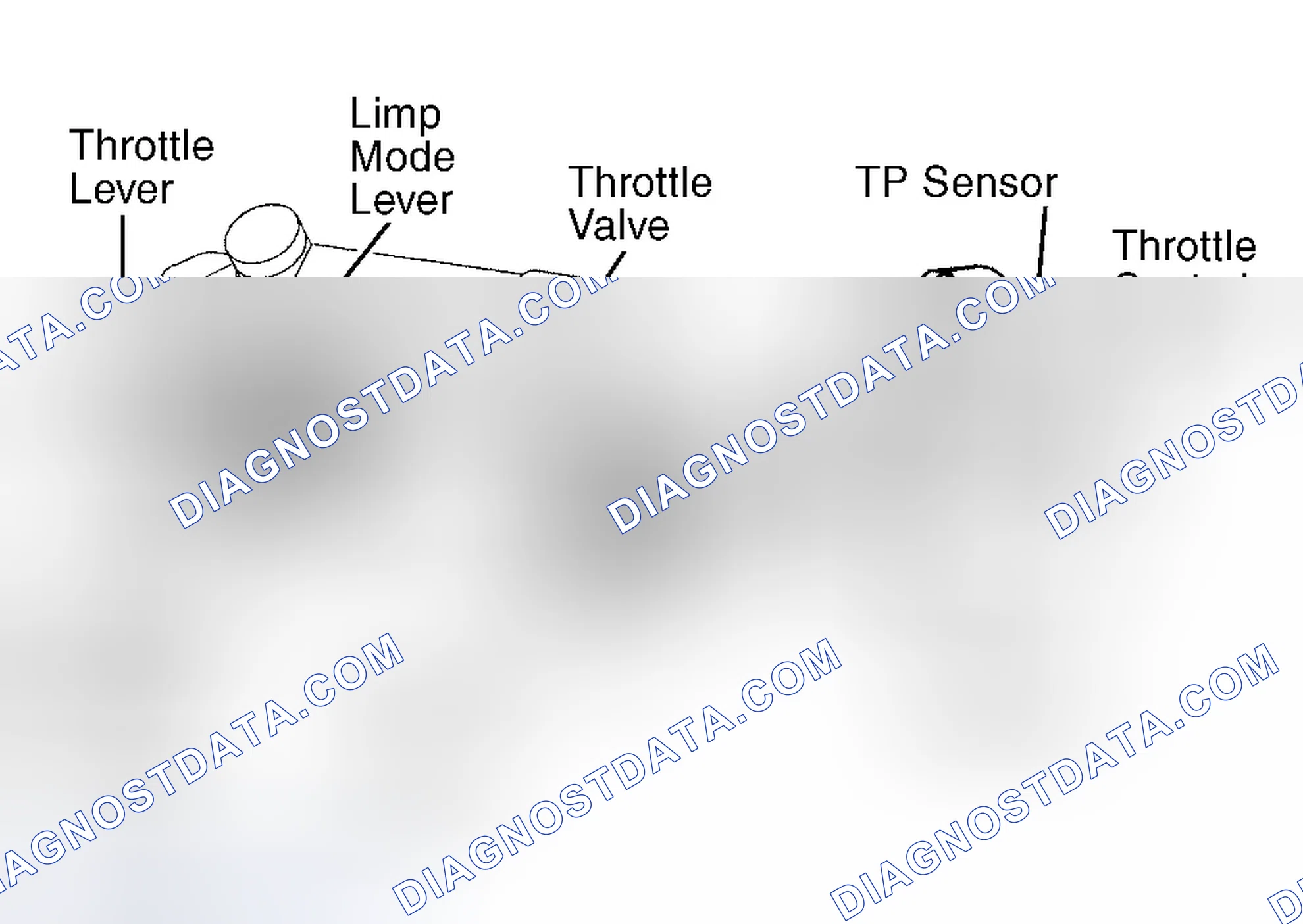 Scheme 177: Land Cruiser & Tundra 4.7L V8