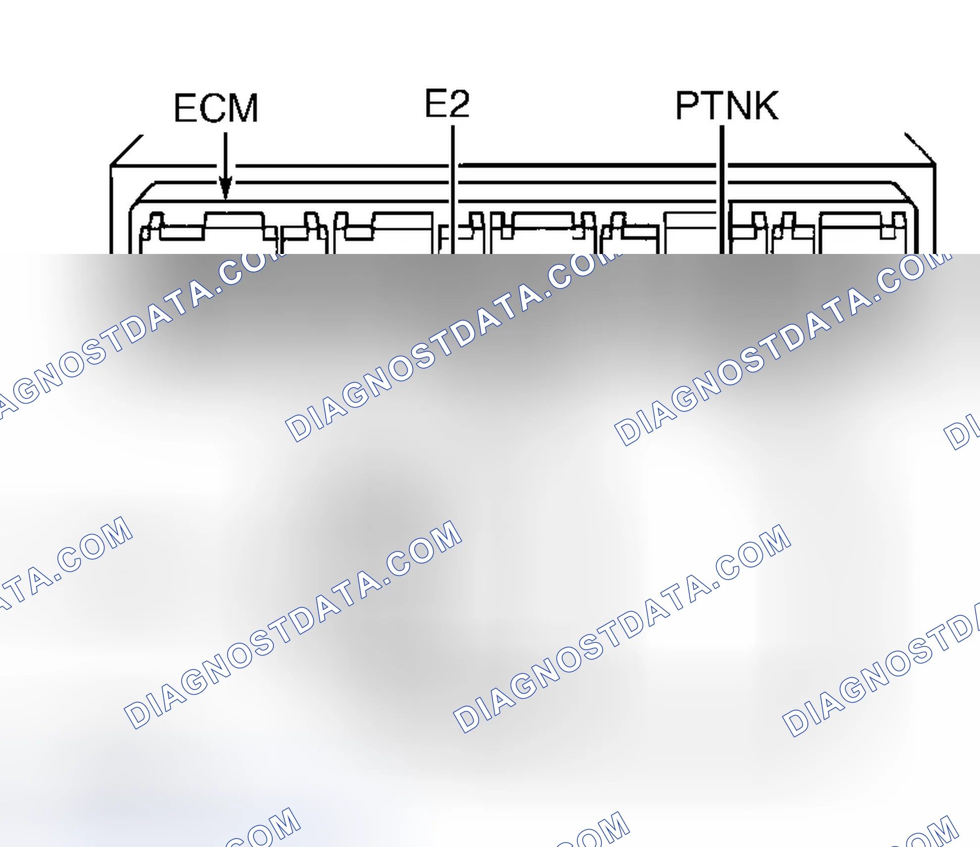 Scheme 225