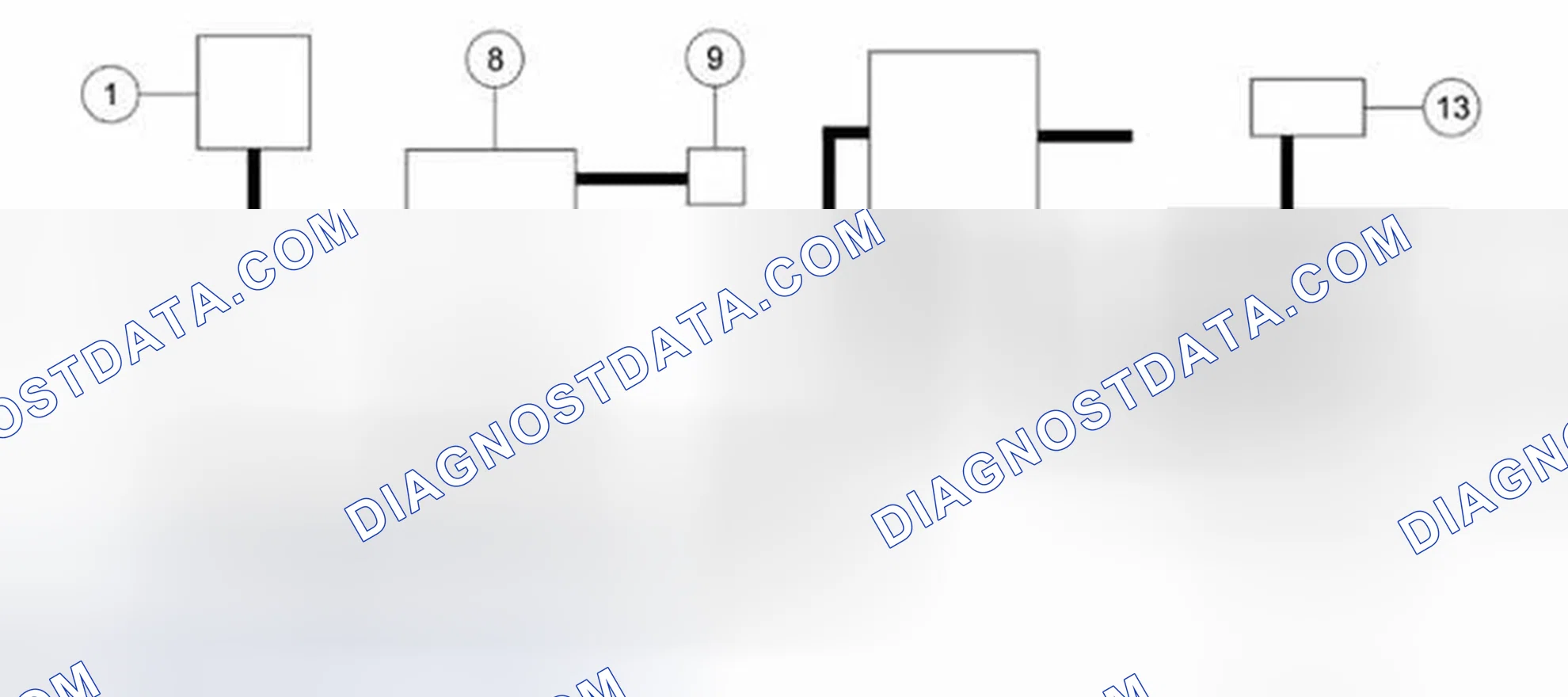 Scheme 119: Vehicle Emission Vacuum Routing - 2.0L GTDI