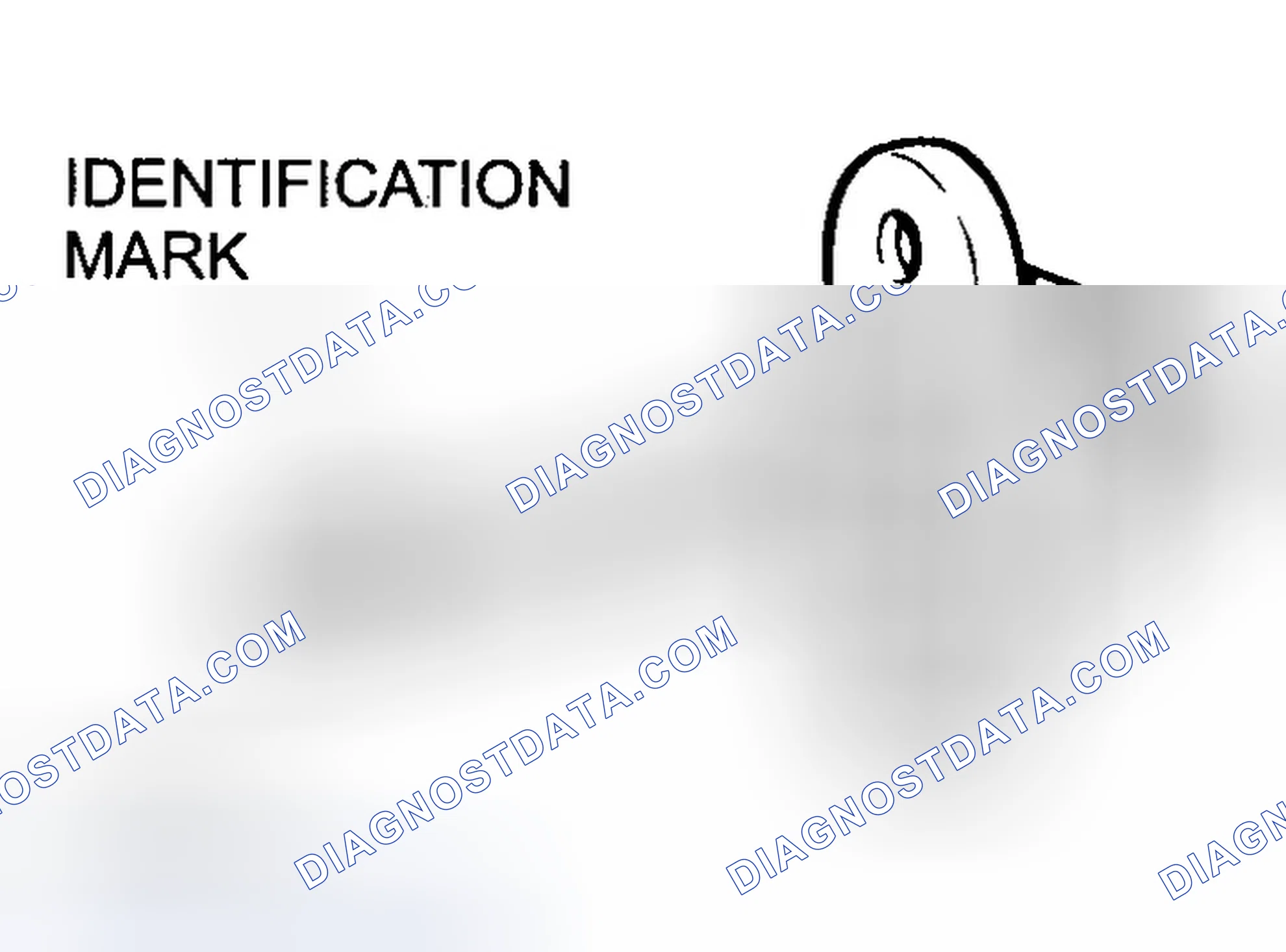 Scheme 1: A) Door Check Installation