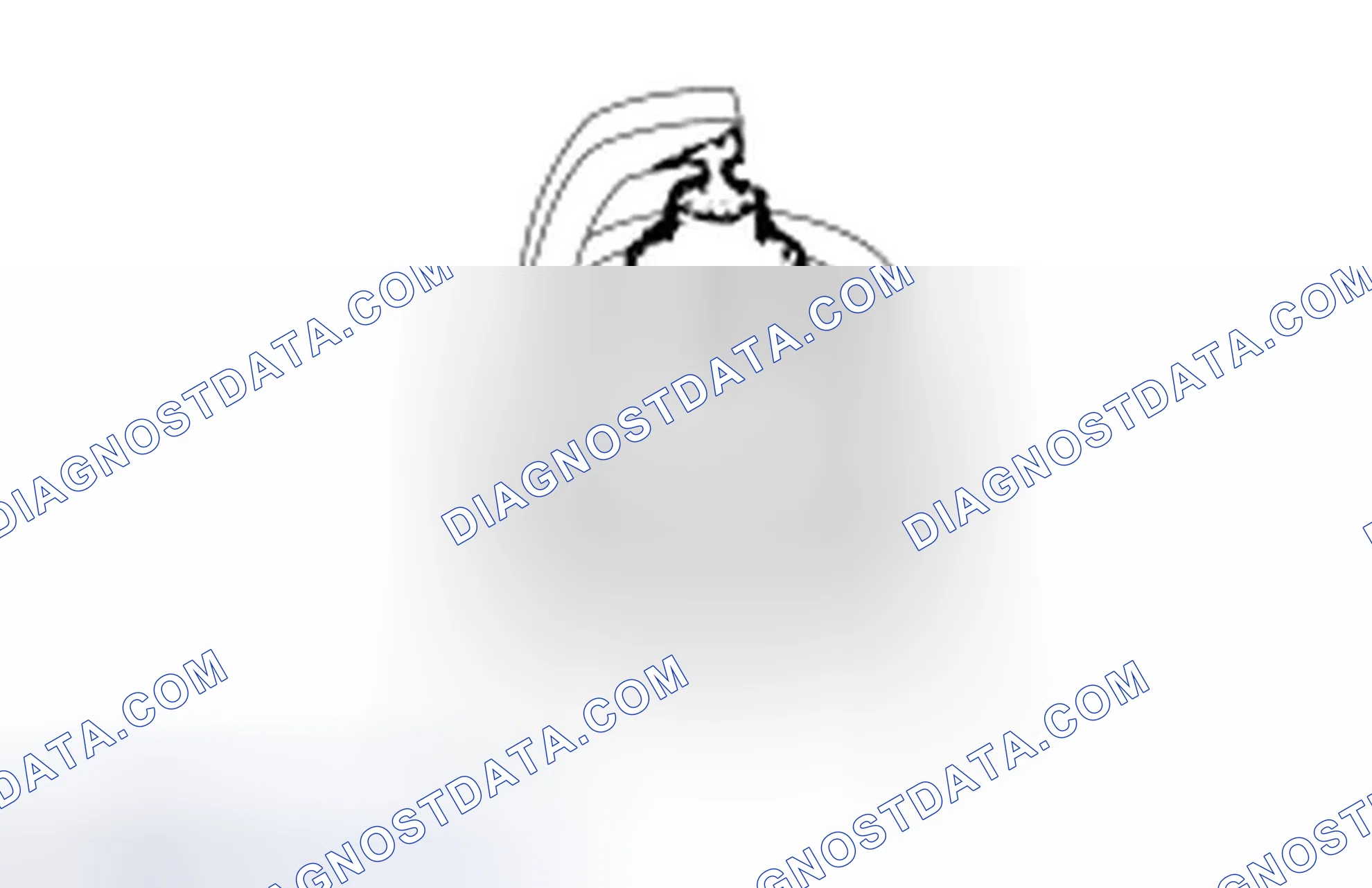 Scheme 564: Spark Plug Inspection