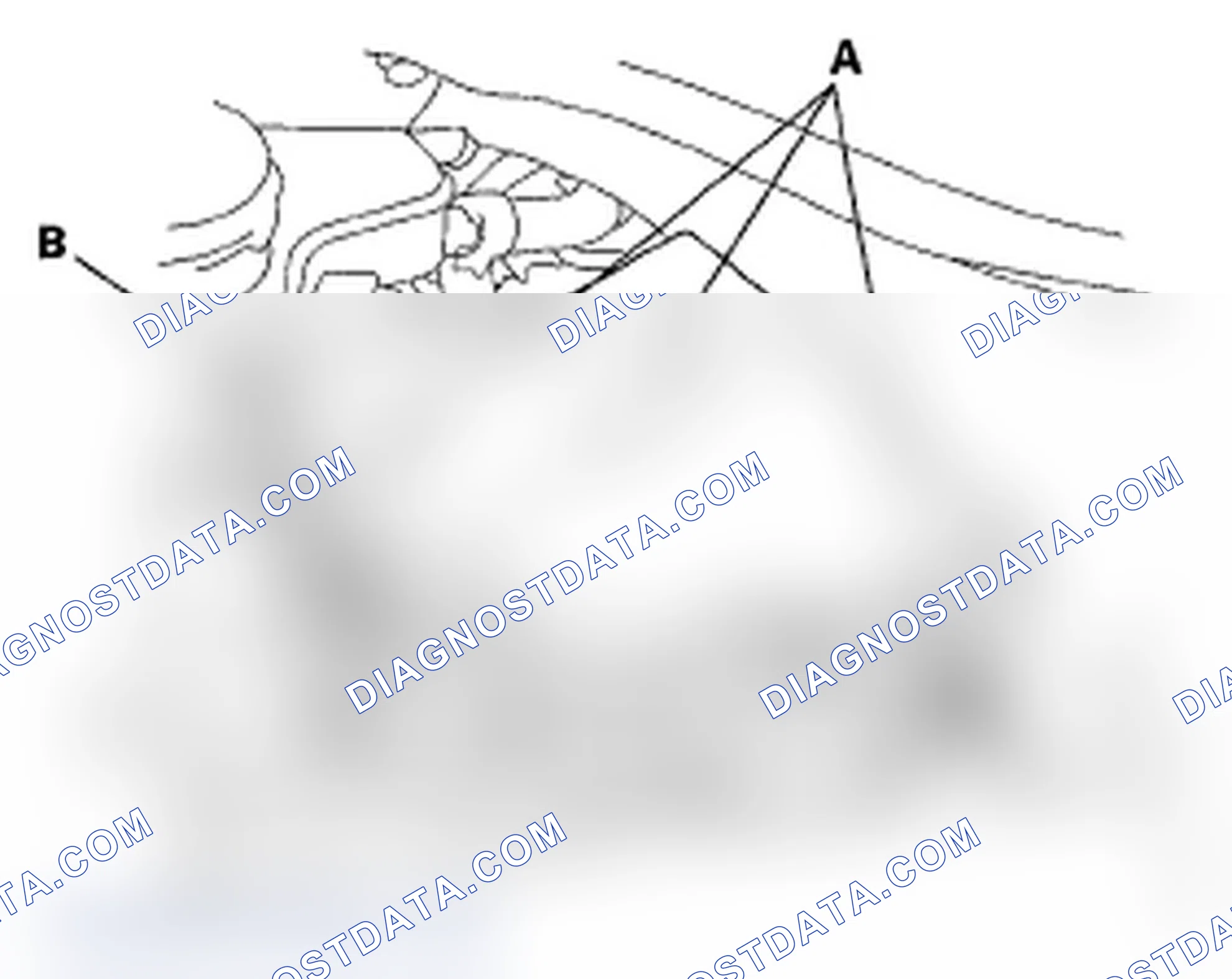 Scheme 31: Master Cylinder Replacement