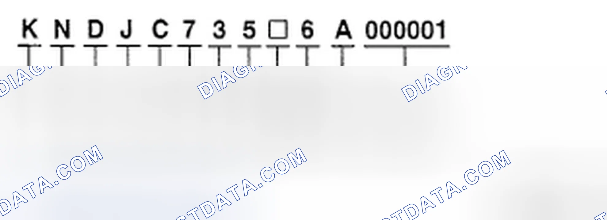 Scheme 1: VEHICLE IDENTIFICATION NUMBER