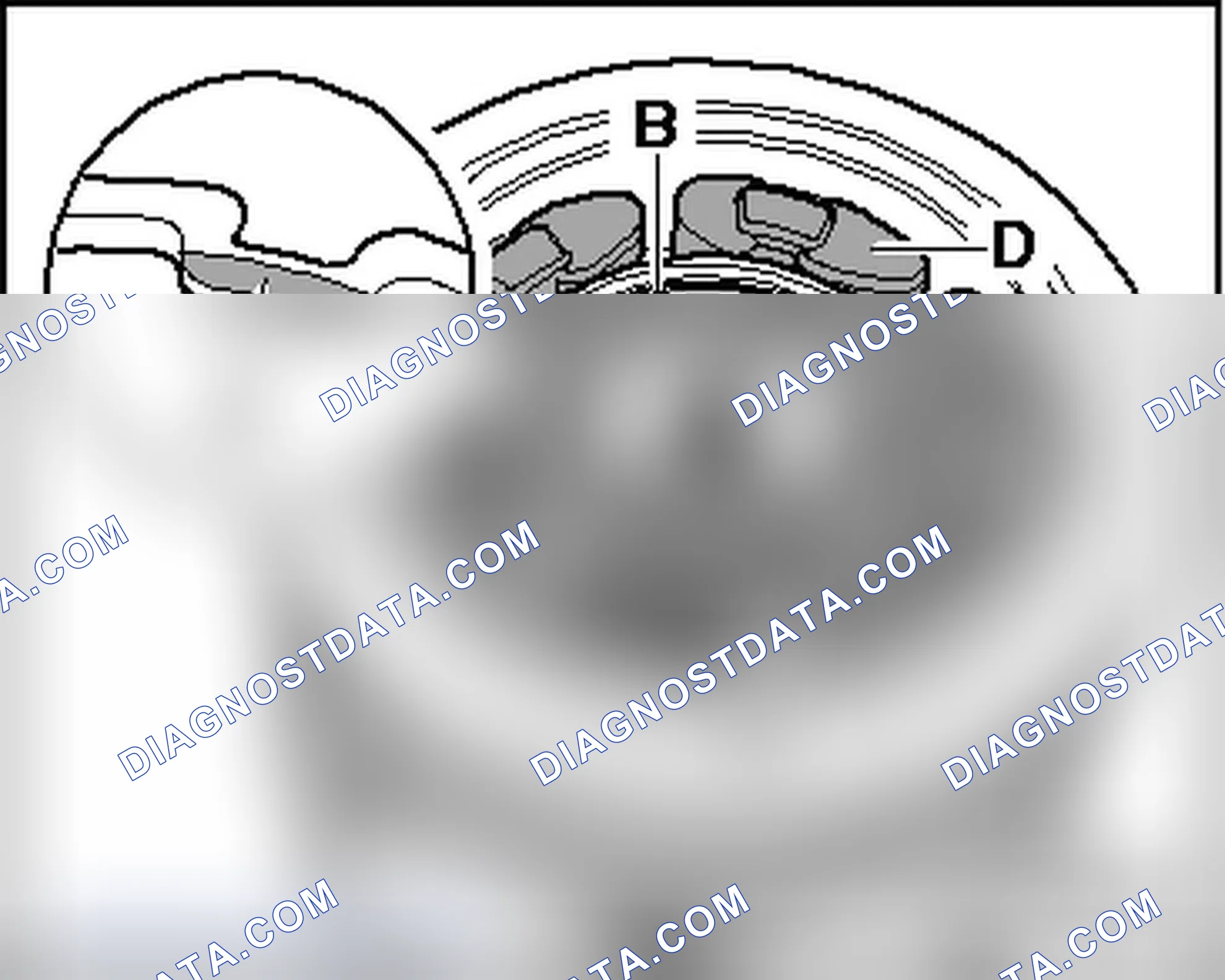 Scheme 165