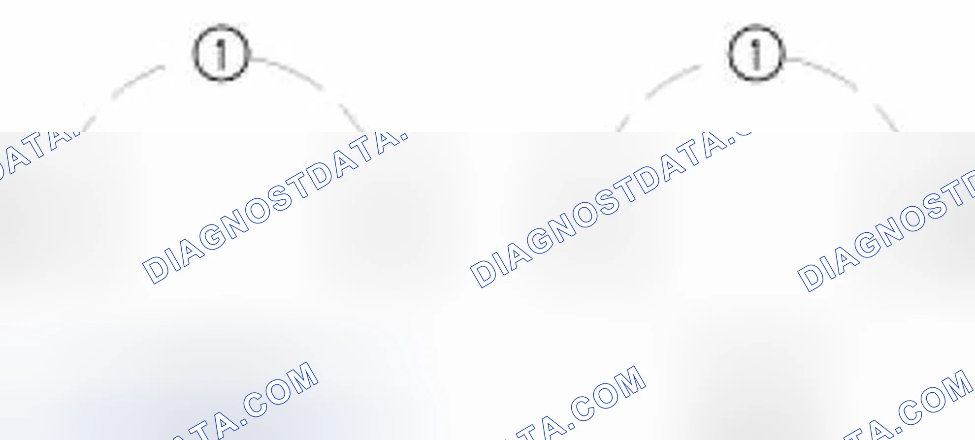 Scheme 1: Hub Nut Tightening Sequence