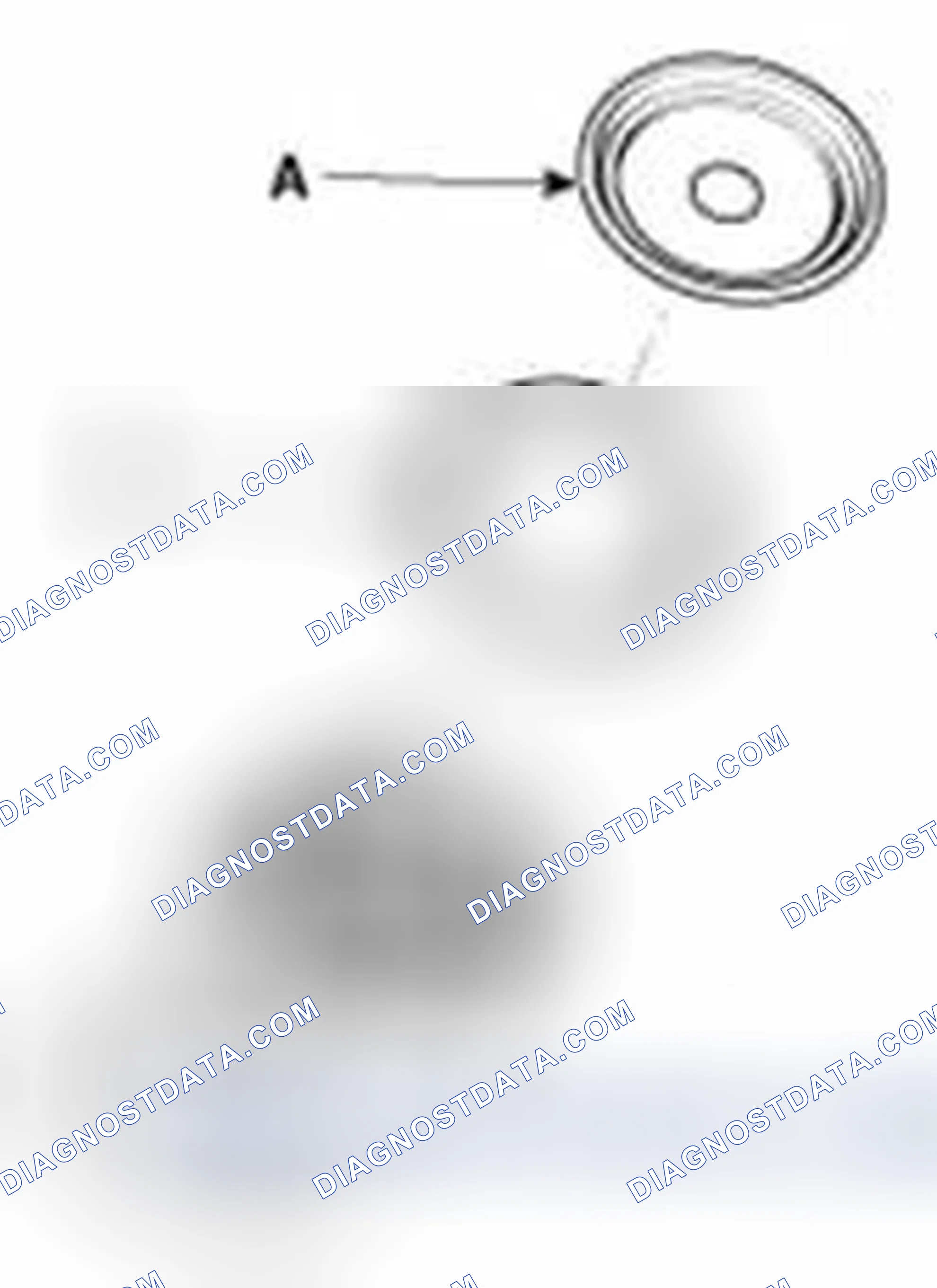 Scheme 15