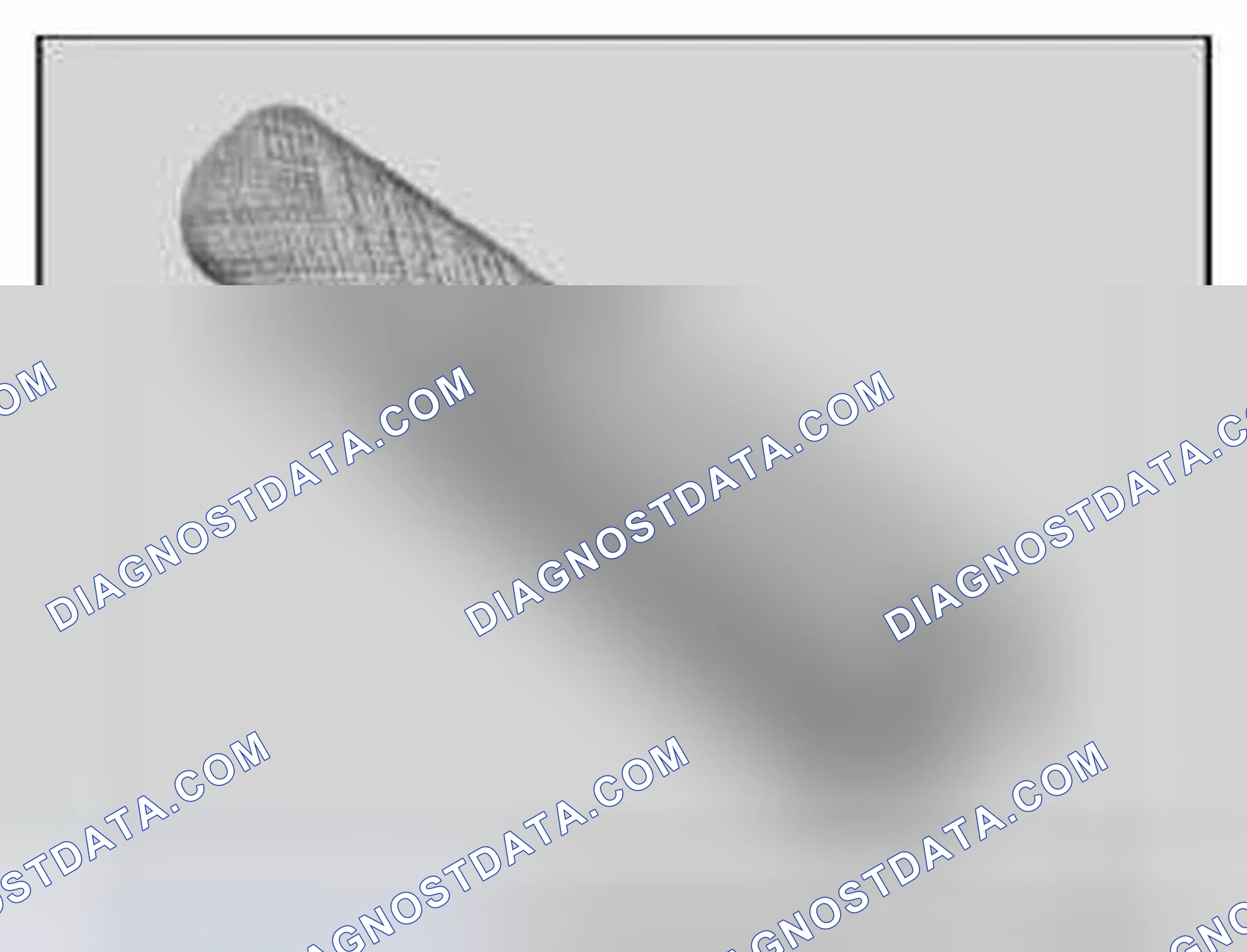 Scheme 442: 11 9 360 Drift