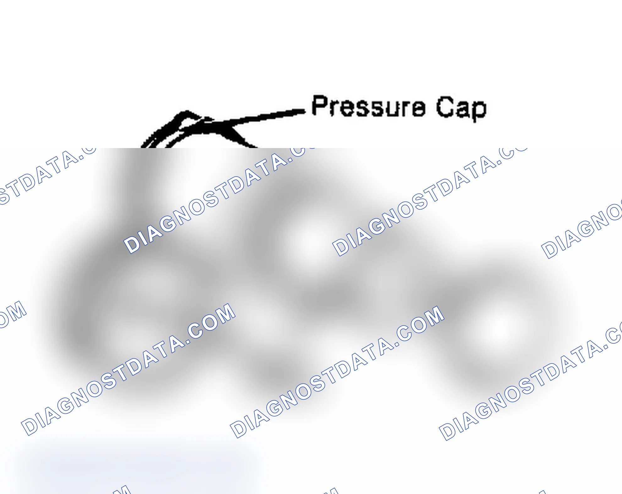 Scheme 2: Testing Radiator Pressure Cap Wet cap gasket before testing.