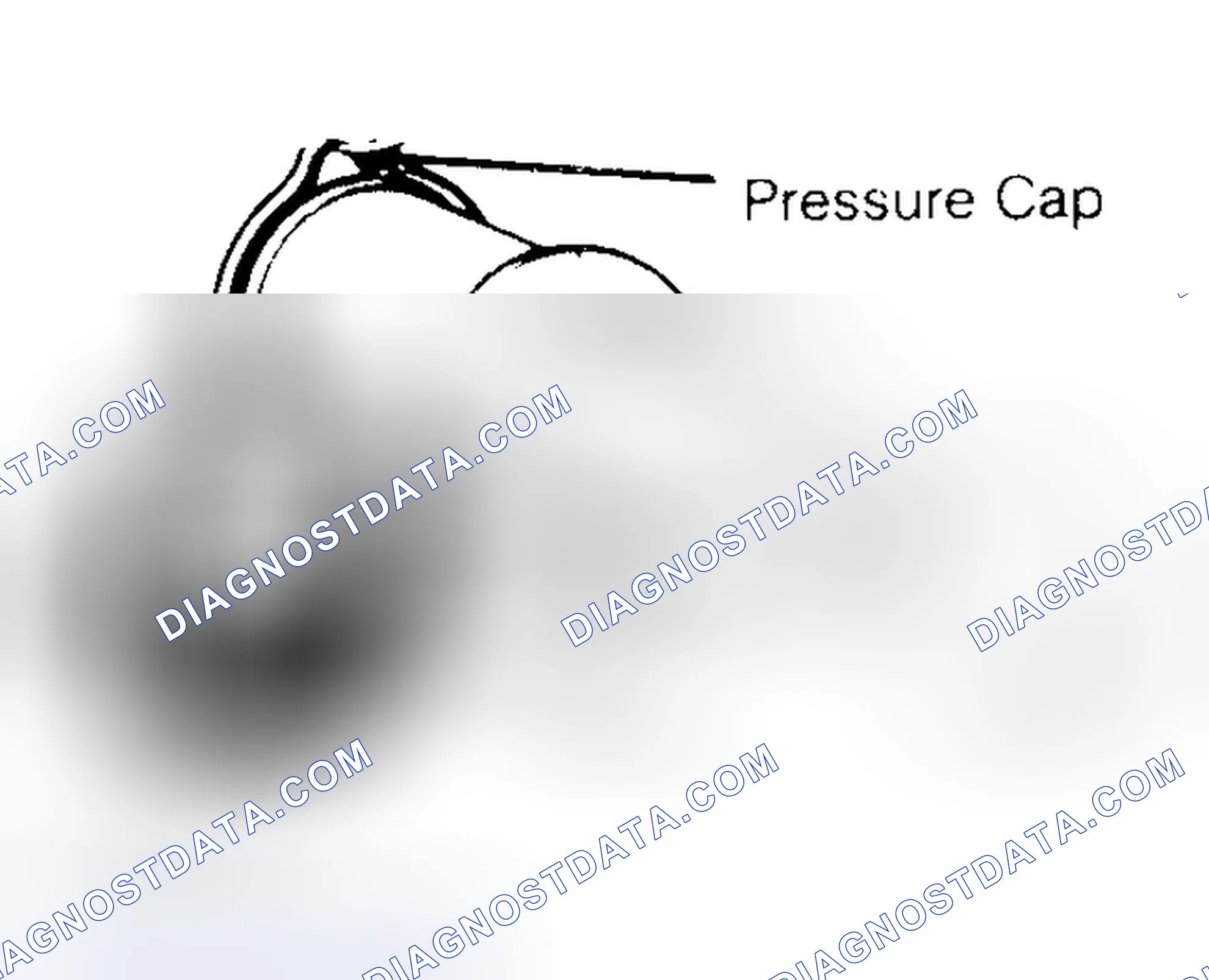 Scheme 2: Pressure Testing Radiator Cap