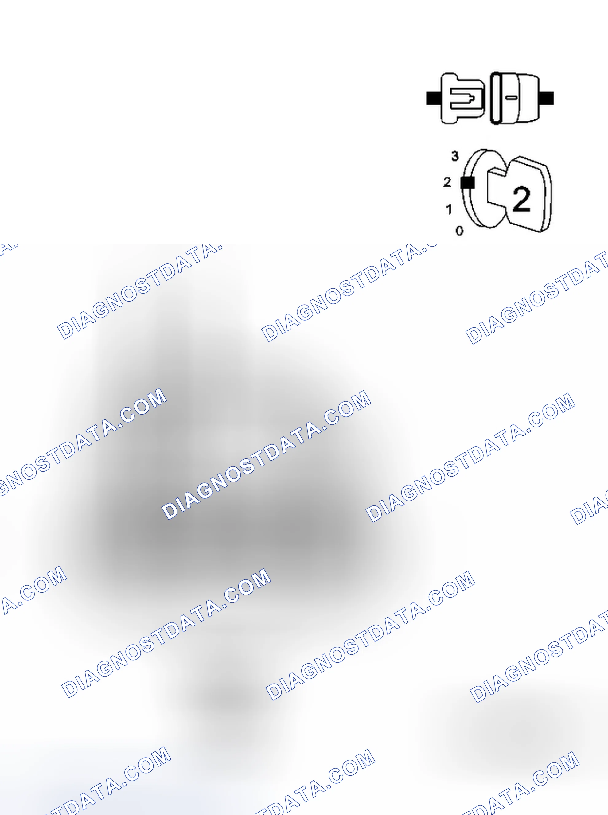 Scheme 300: Diagnostic Test