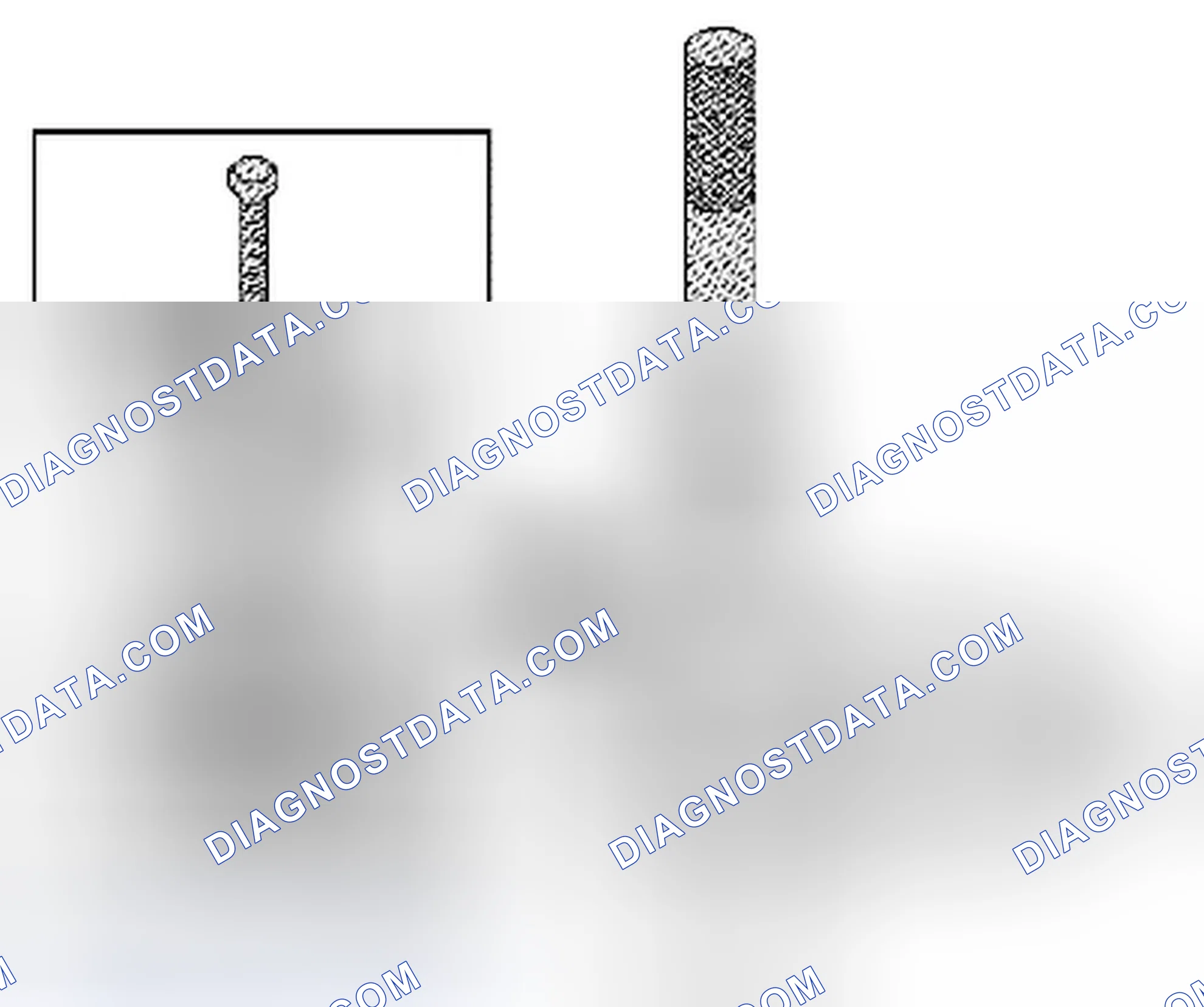 Scheme 22: Input Shaft Seal Replacement - Right