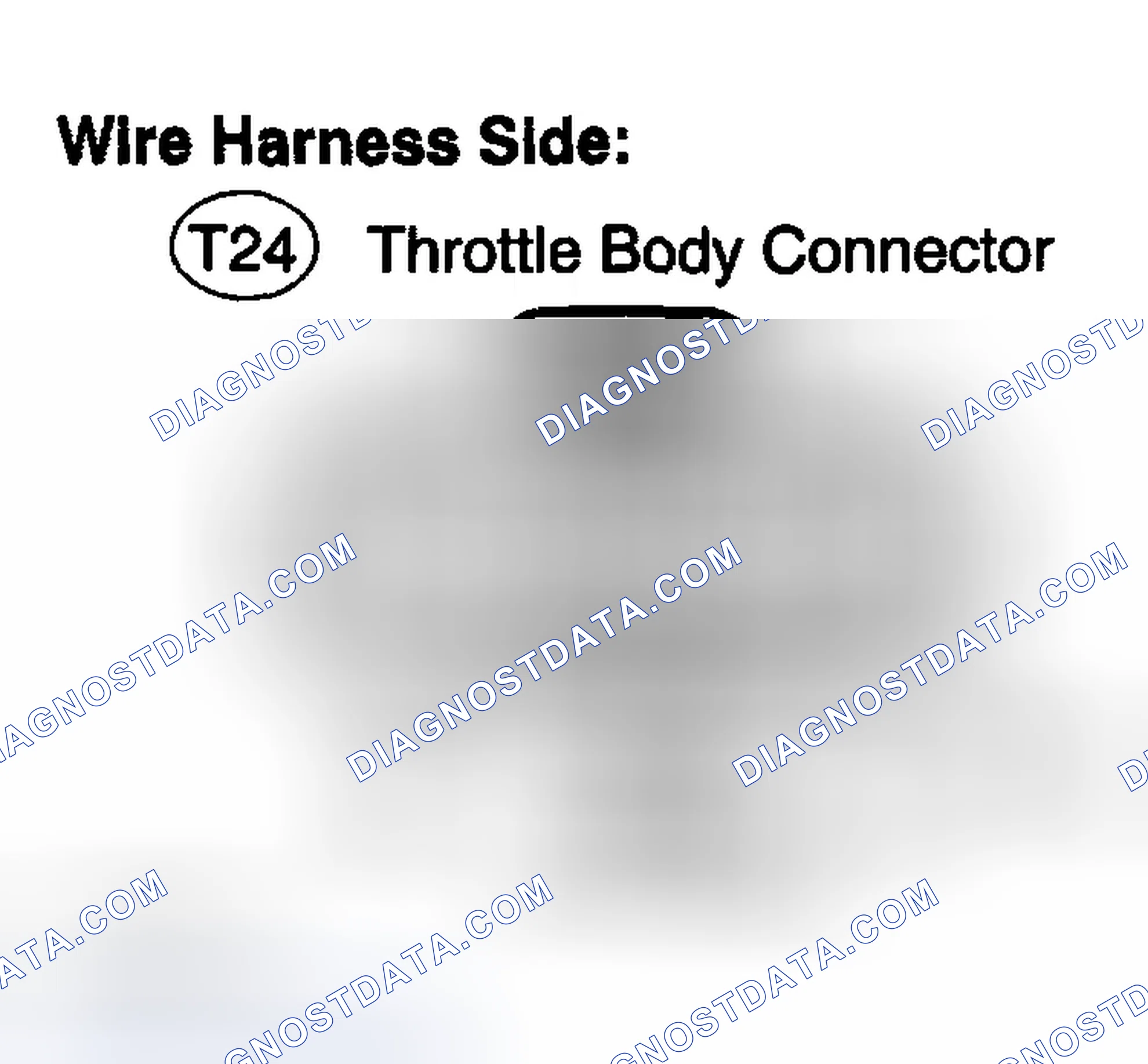 Scheme 184