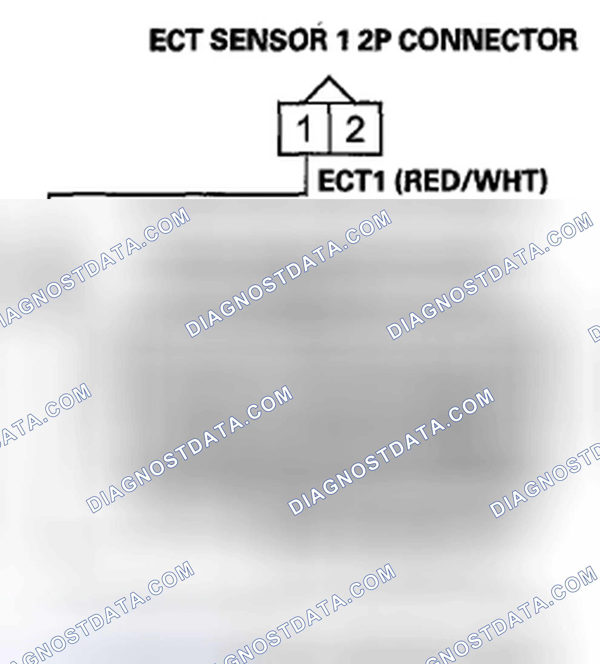 Scheme 81