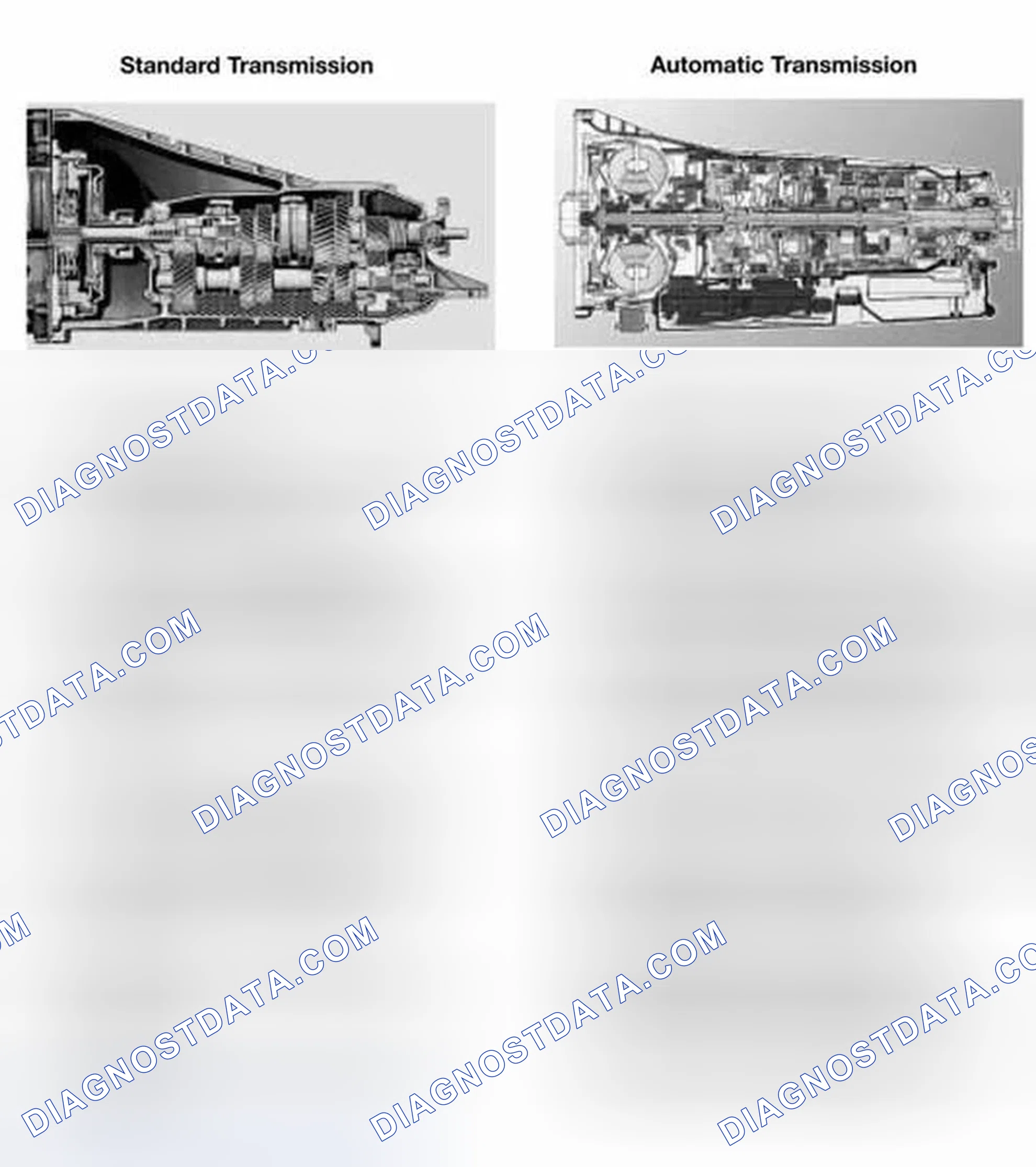 Scheme 6: STANDARD/AUTOMATIC TRANSMISSION
