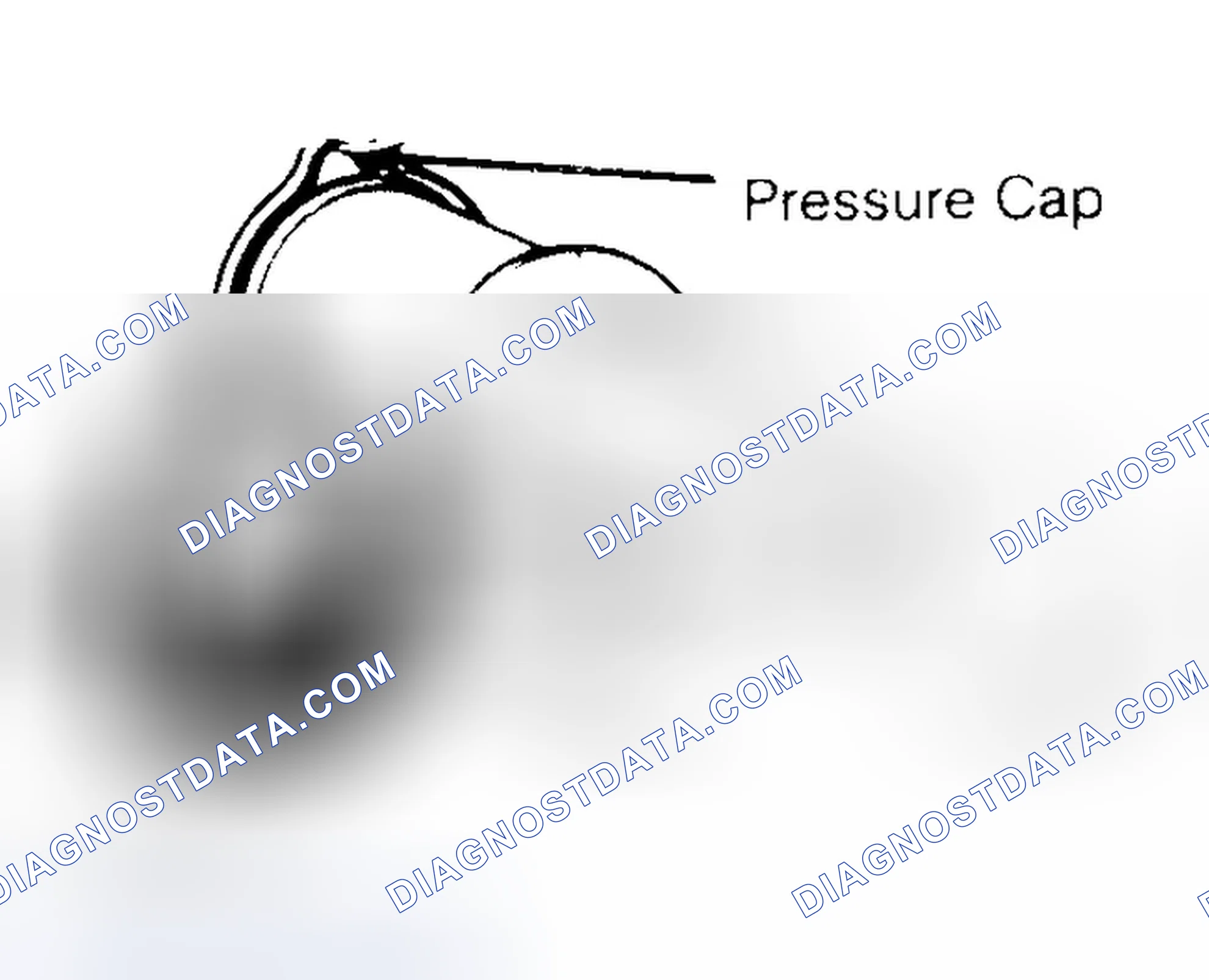 Scheme 2: Pressure Testing Radiator Cap
