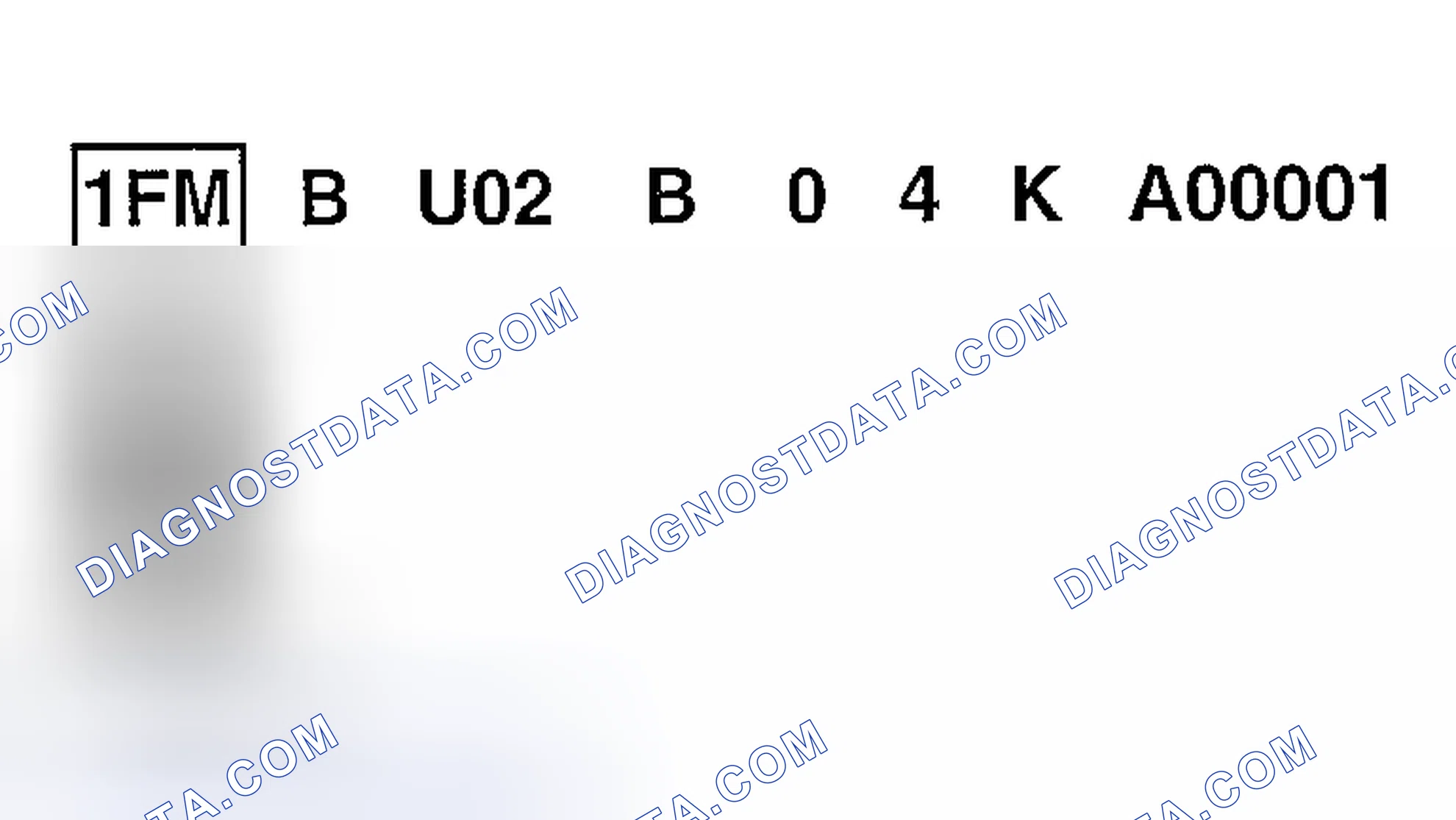 Scheme 4: World Manufacturer Identifier (WMI)