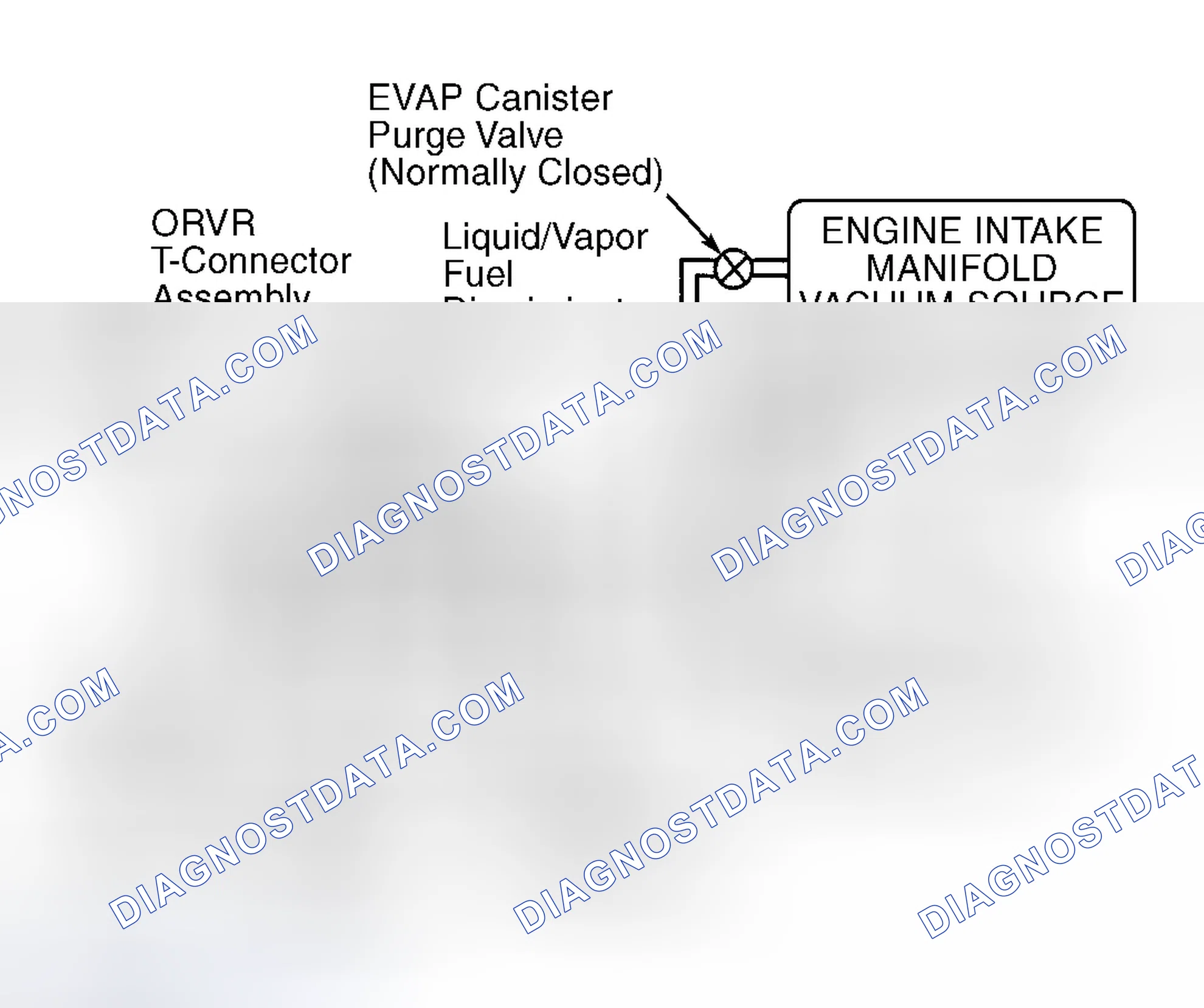 Scheme 41: Identifying EVAP System Components