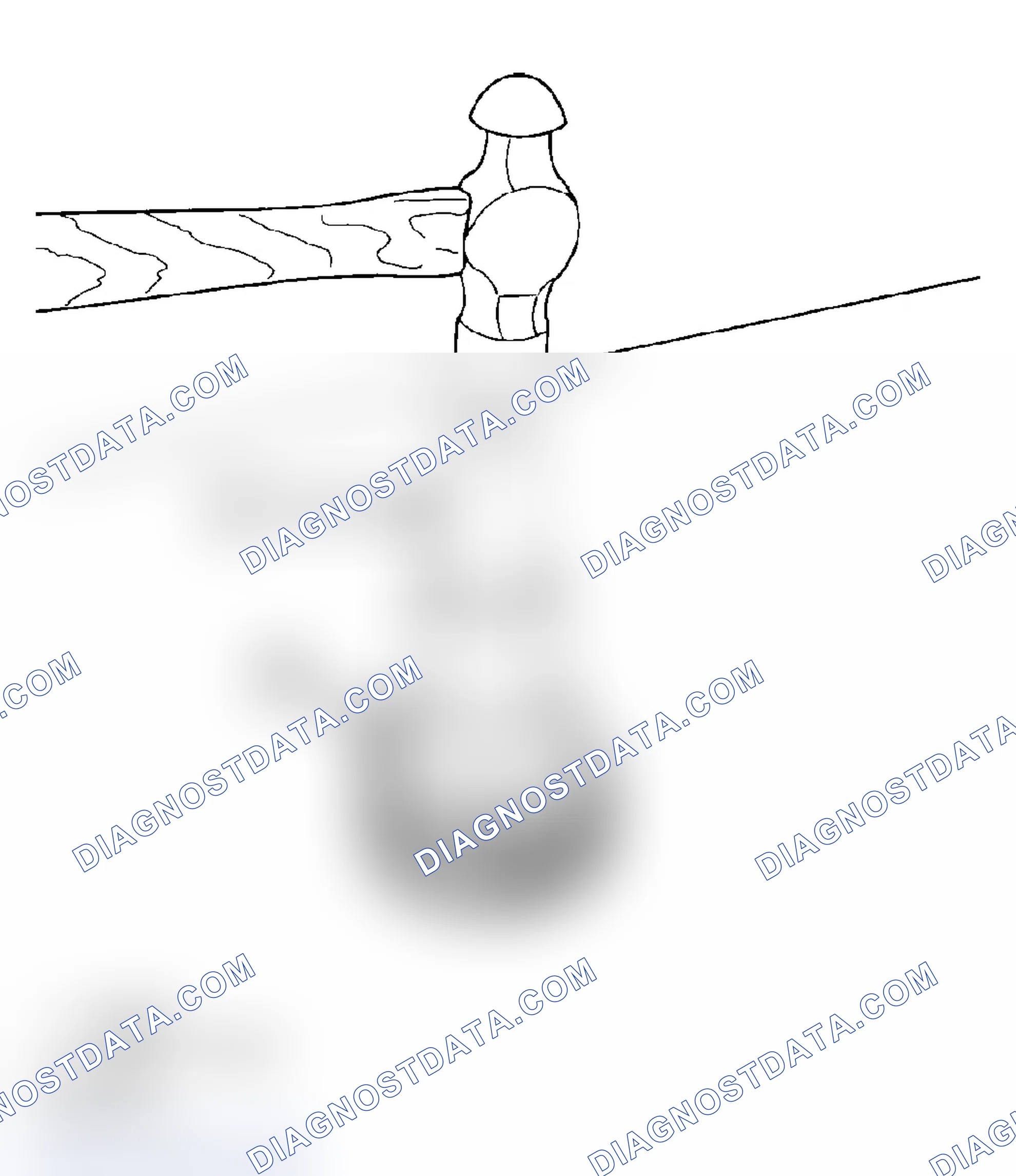 Scheme 289