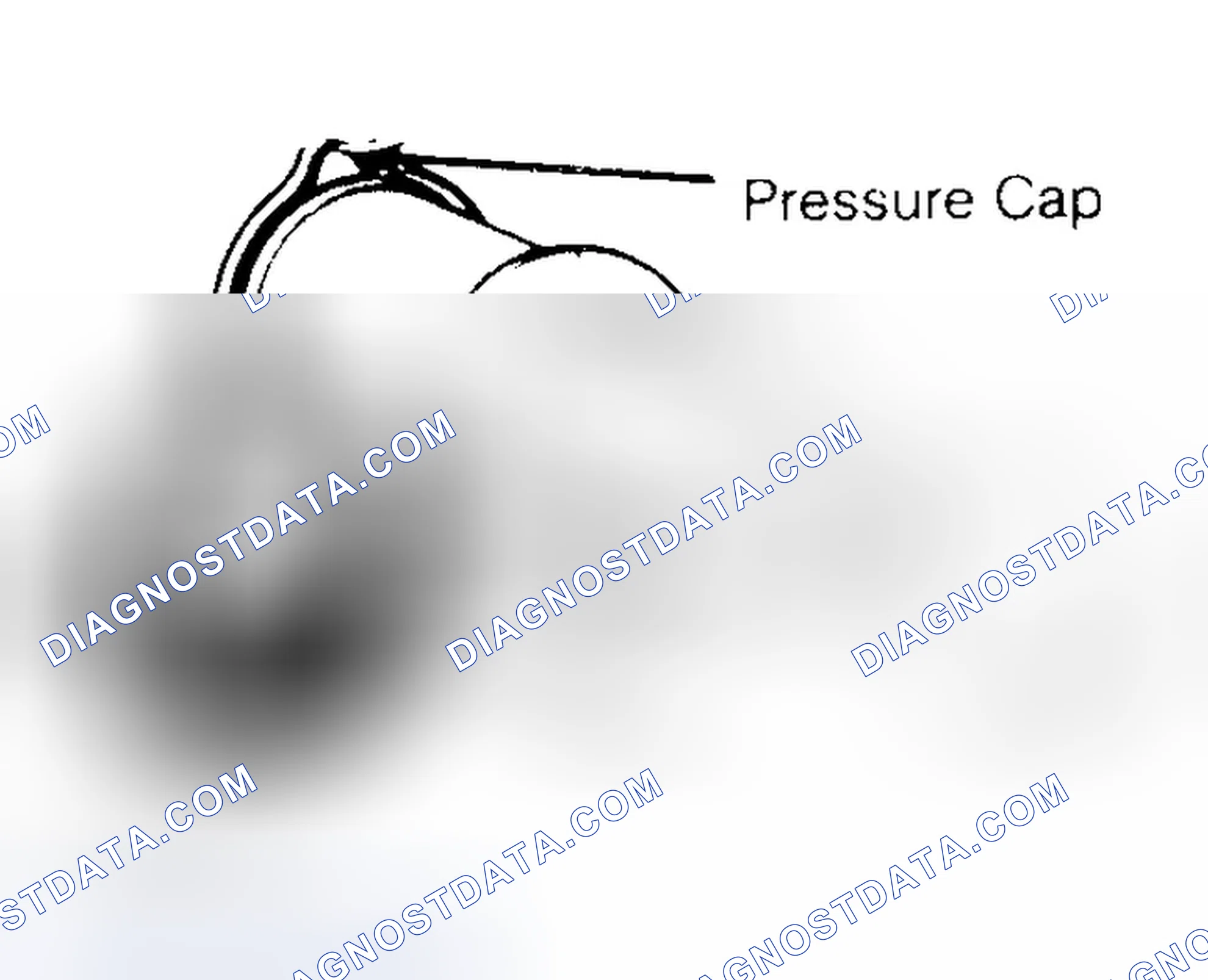 Scheme 2: Pressure Testing Radiator Cap