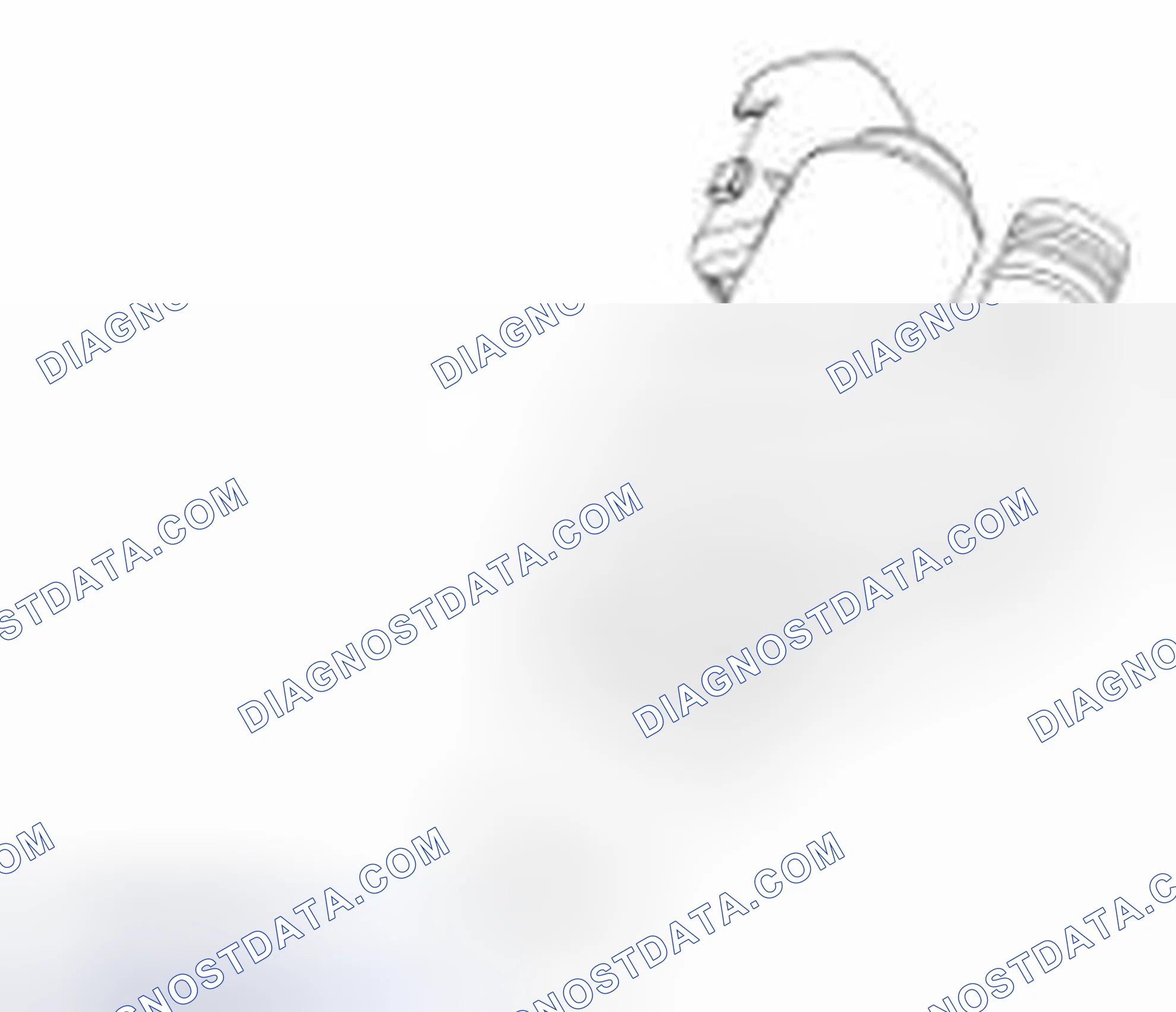 Scheme 135: Fuel Vapor Vent Valve