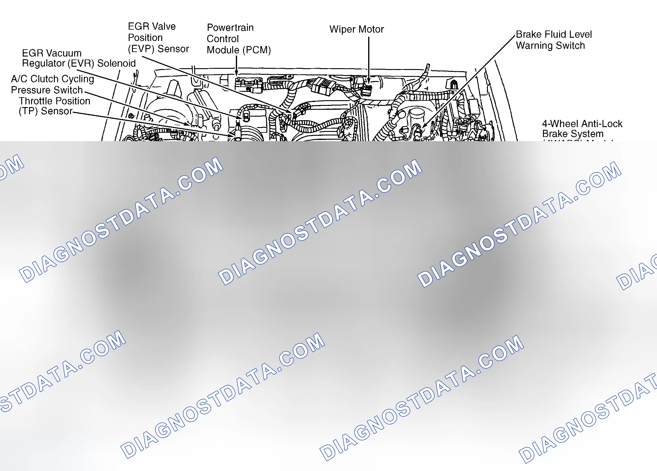 Scheme 4: Engine Compartment (5.0L)