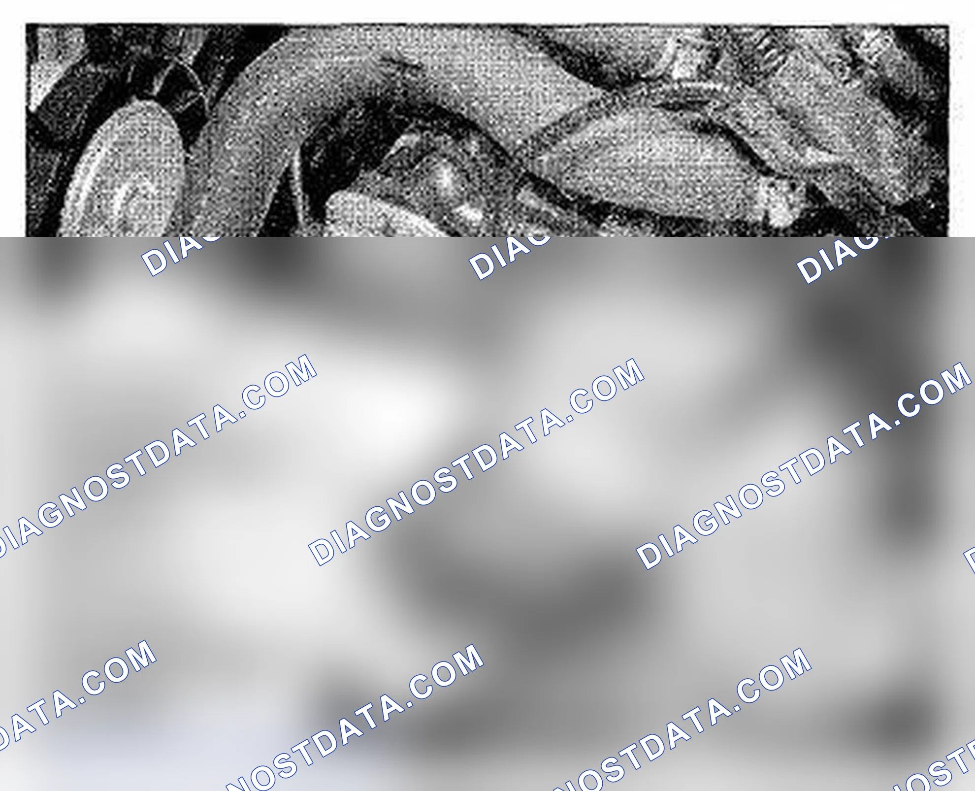 Scheme 1033: Transmission Housing (A/T) Component Location (Photo 24)