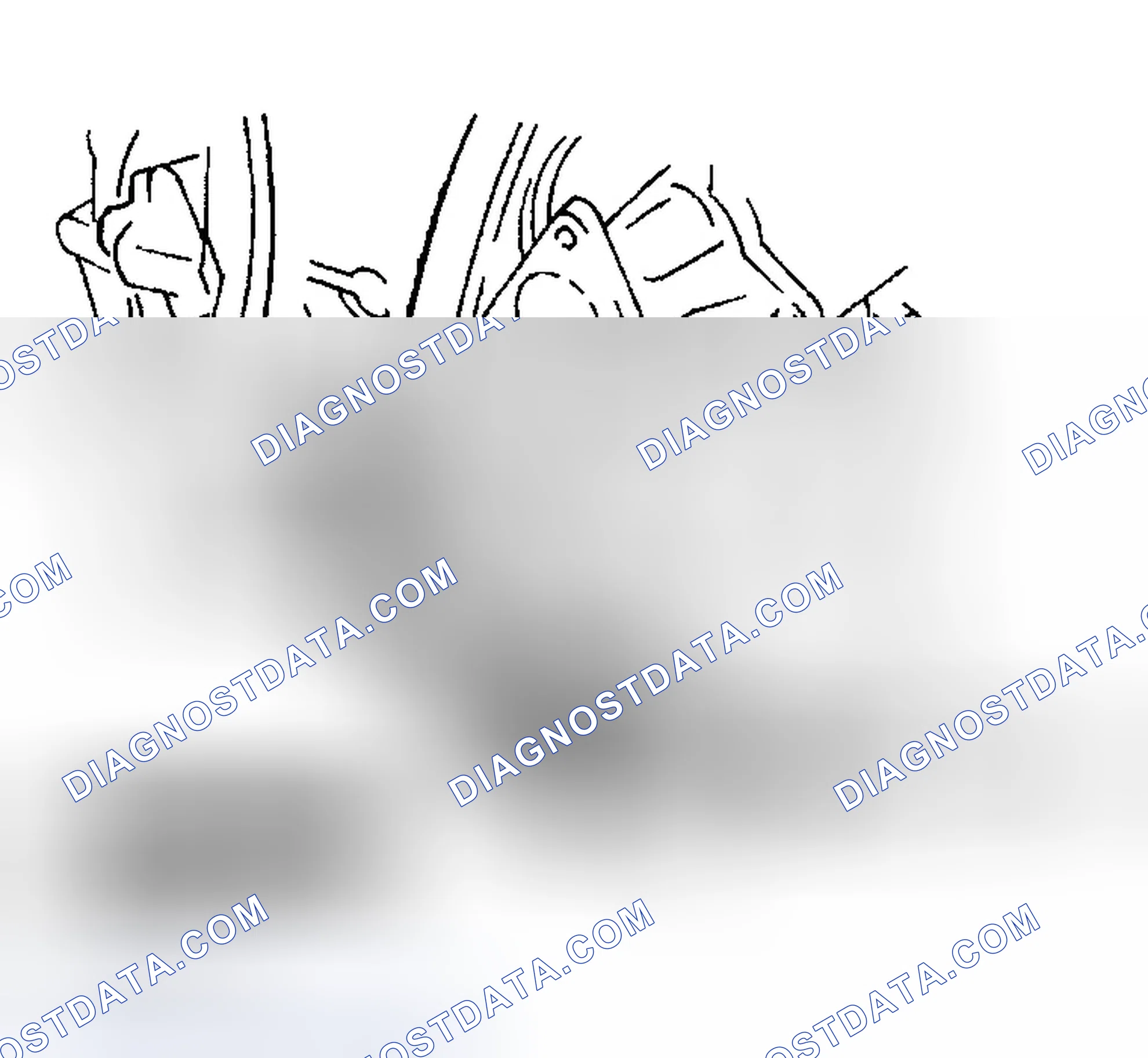 Scheme 24: Oil Pump Sprocket Removal/Installation Note (L3)