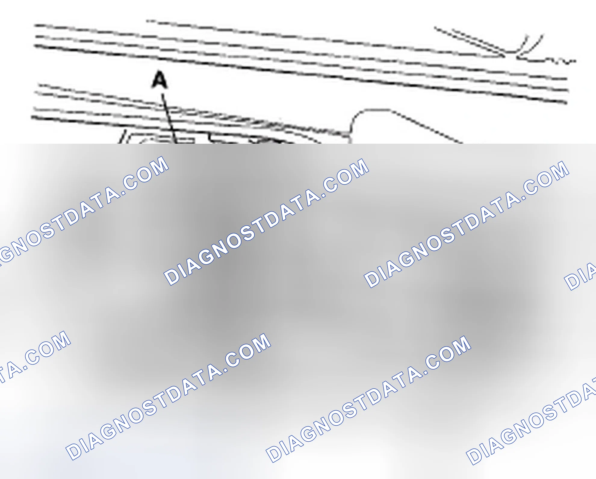Scheme 187