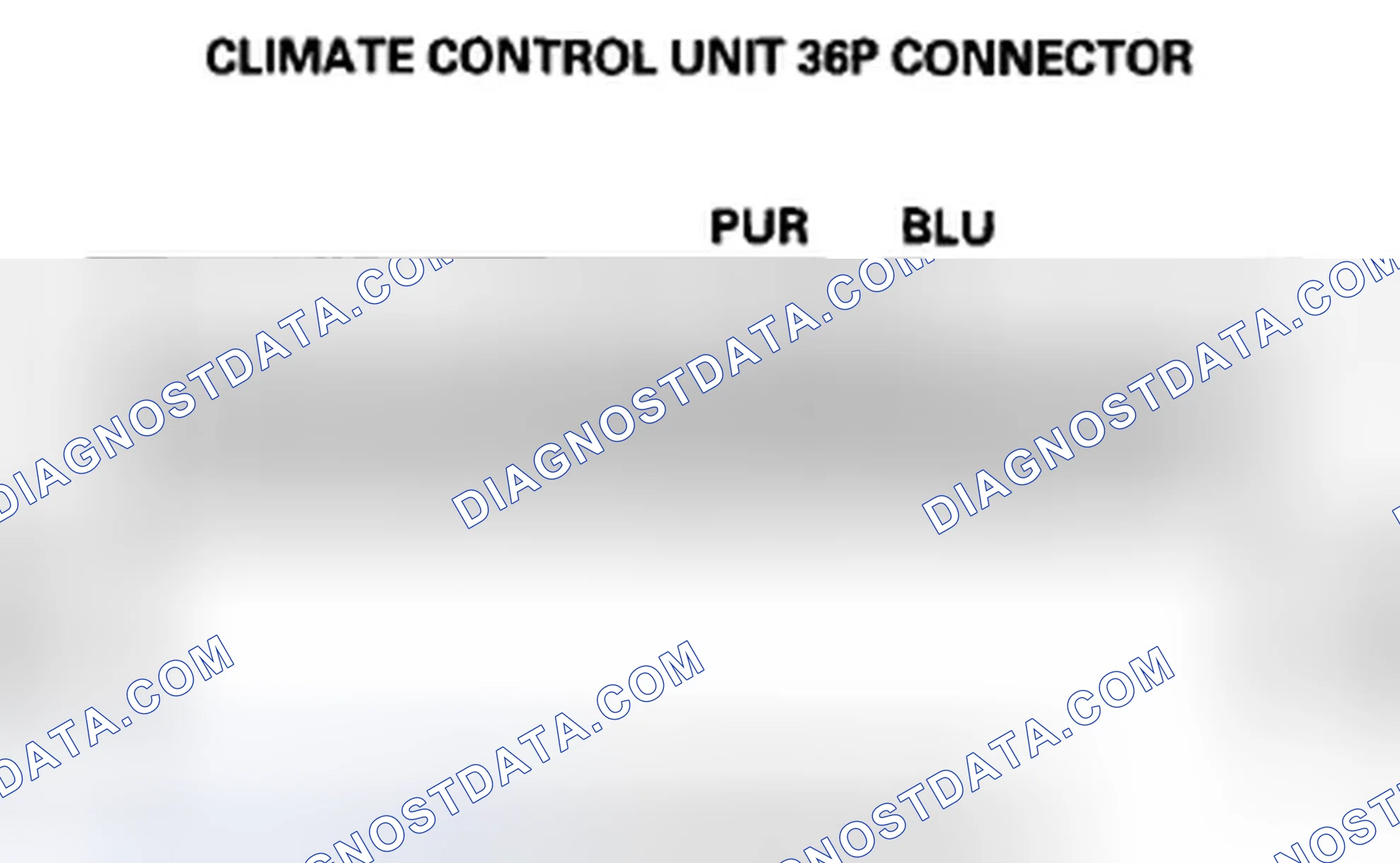 Scheme 146