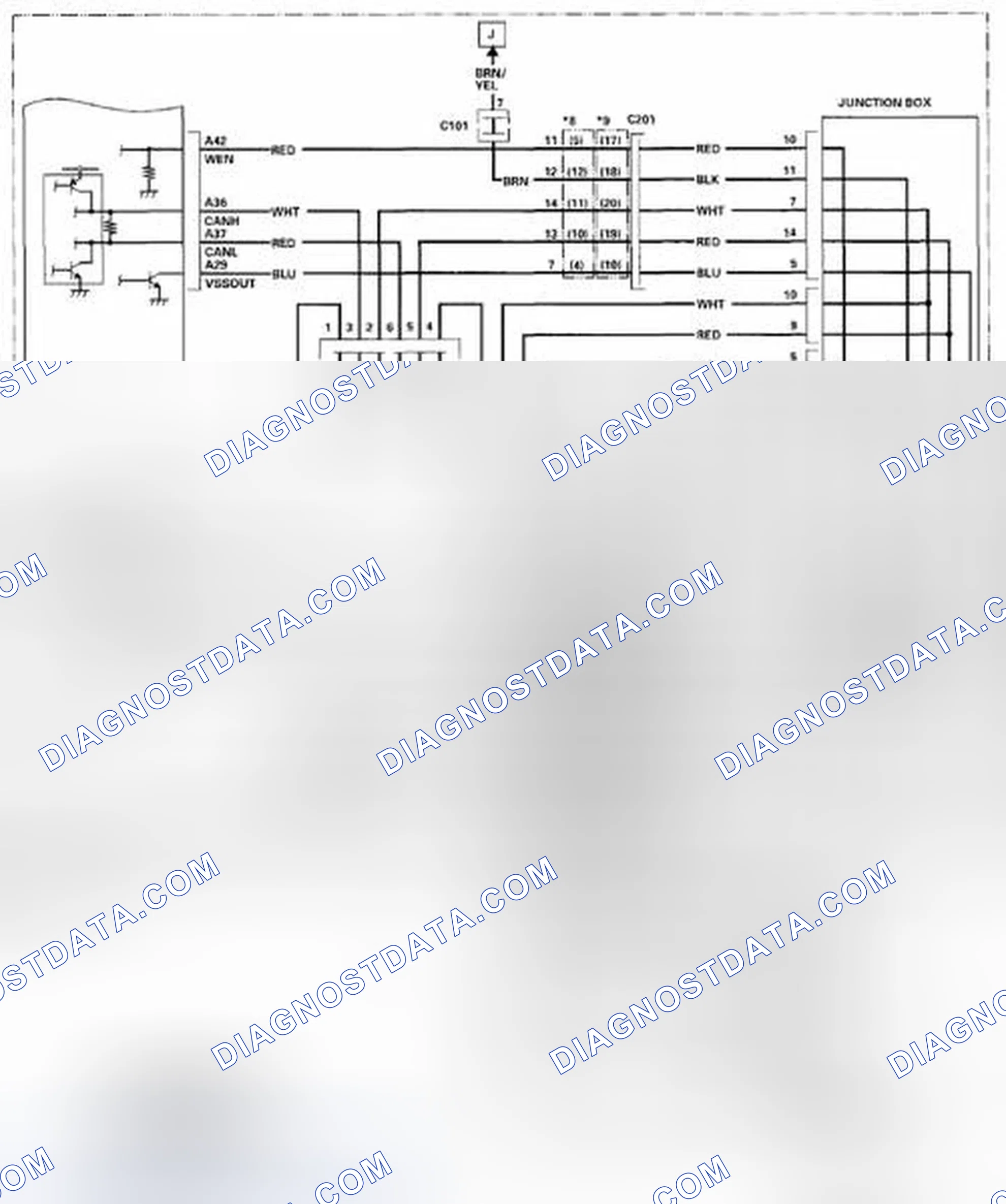Scheme 919